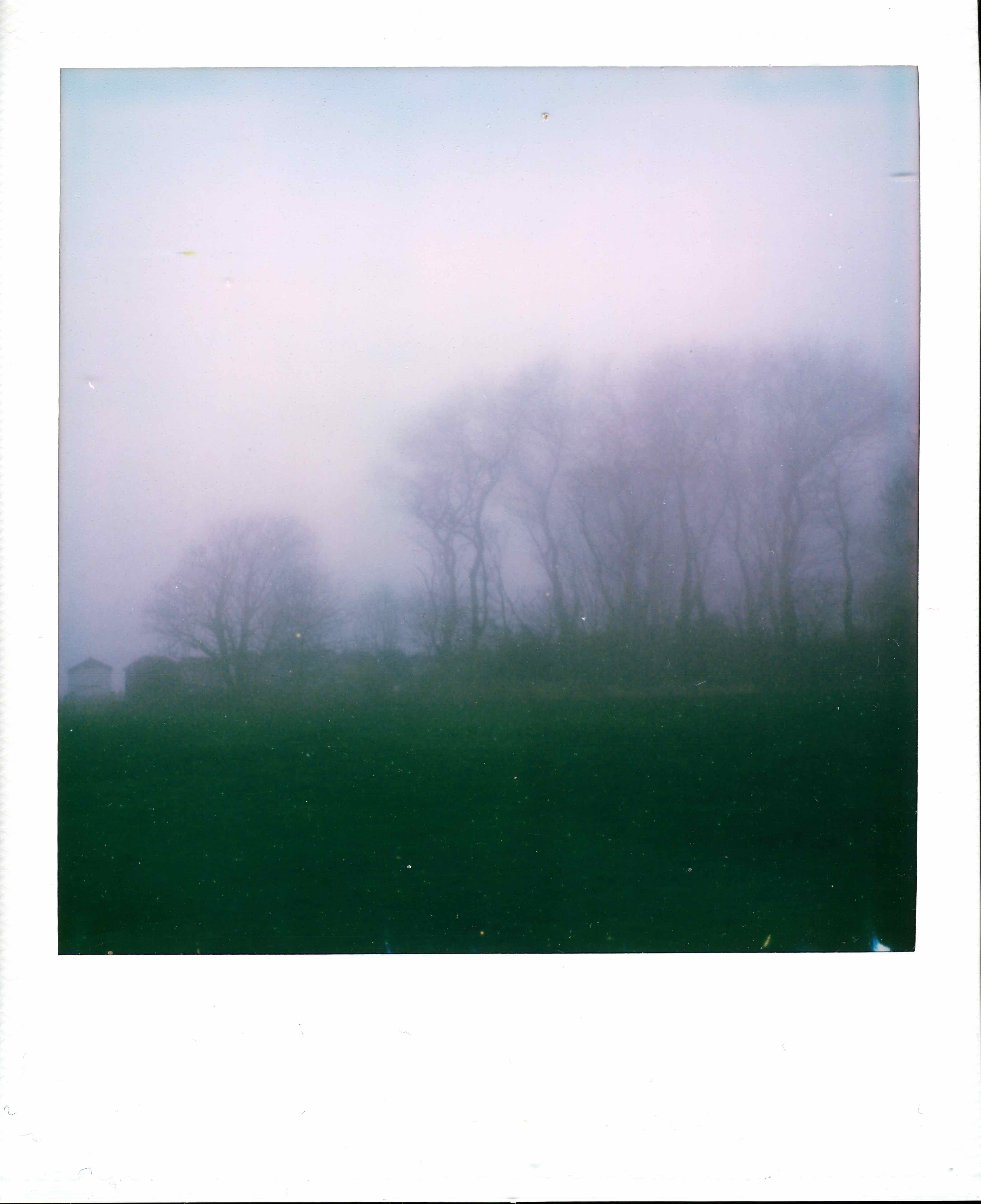 Fog shot on Polaroid i-Type with a Polaroid I-2, developed at Instant Film, by MelvynJ