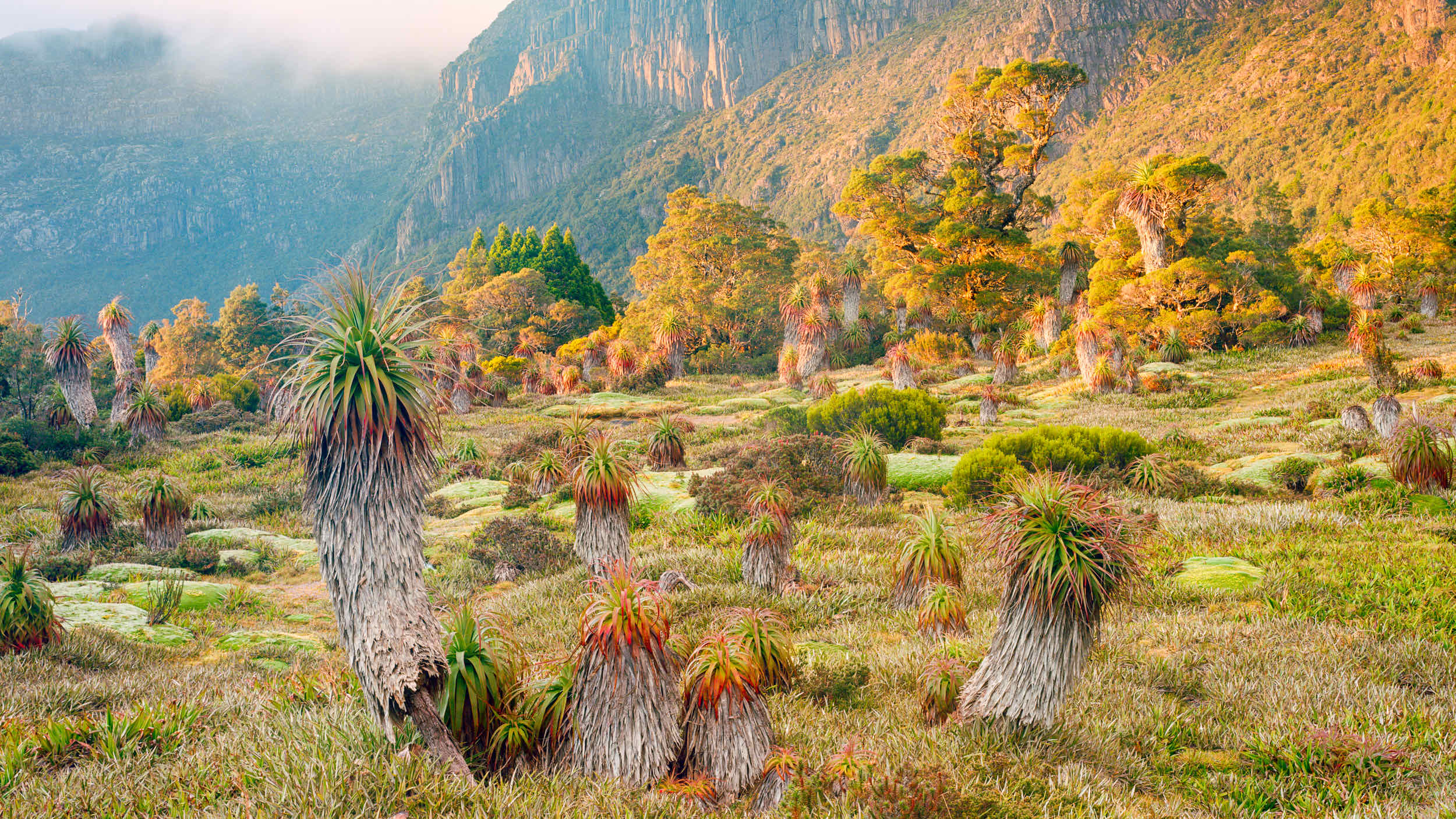GONDWANA SUNRISE, SOUTHWEST NATIONAL PARK, TASMANIA (16:9 CROP) shot on Kodak Ektar 100 with a Intrepid 4x5 MK4, developed at Home / Self-Developed, by Will Camp