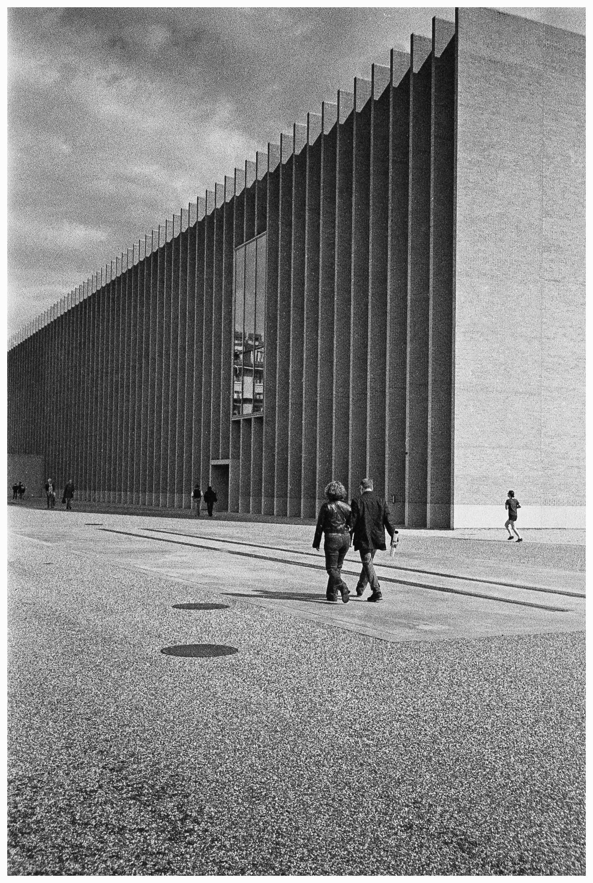 Film photo shot on Ilford Kentmere Pan 400 with a Yashica T4 Zoom, developed at Home / Self-Developed, by wholegrain