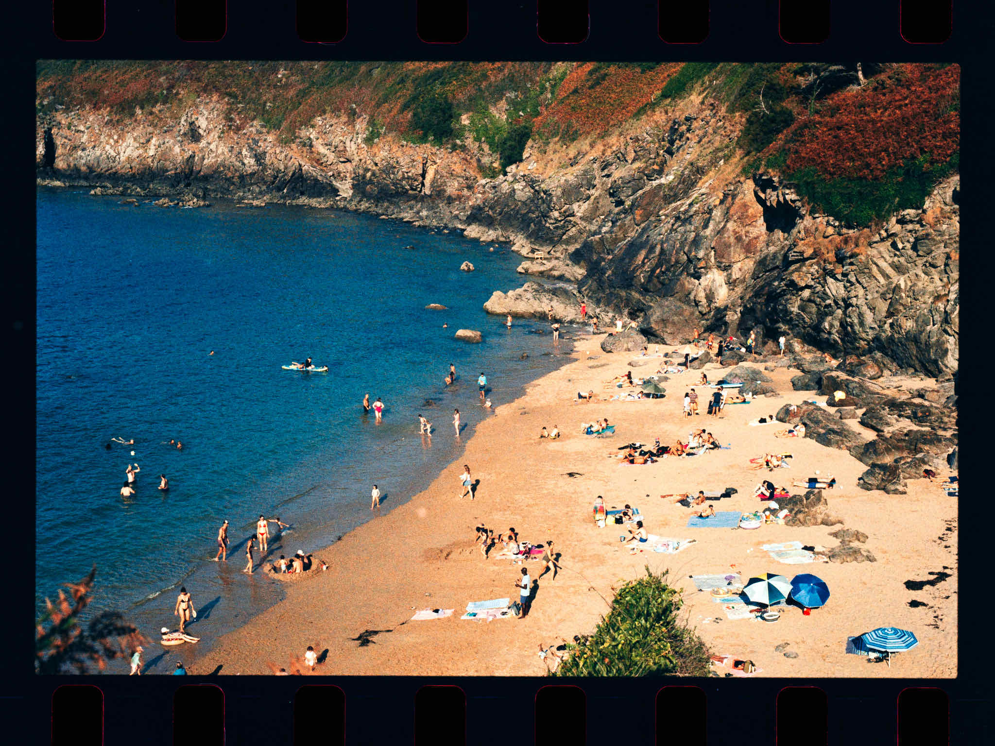 Film photo shot on Optik OldSchool Opticolor 200 with a Canon New F-1, by 400grains