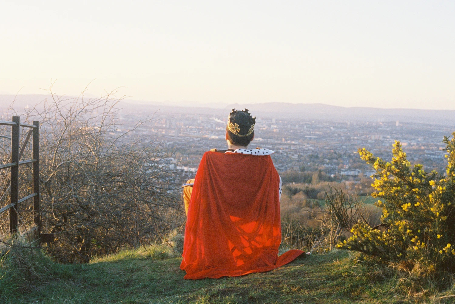 🌅👑 shot on Cinestill 800T with a Canon EOS 1000, developed at Gulabi, by Craig Reid