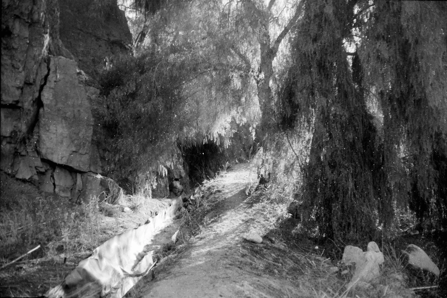 Unknown shot on Ilford Kentmere Pan 100 with a Yashica Electro 35 G, by Gustavo Otárola