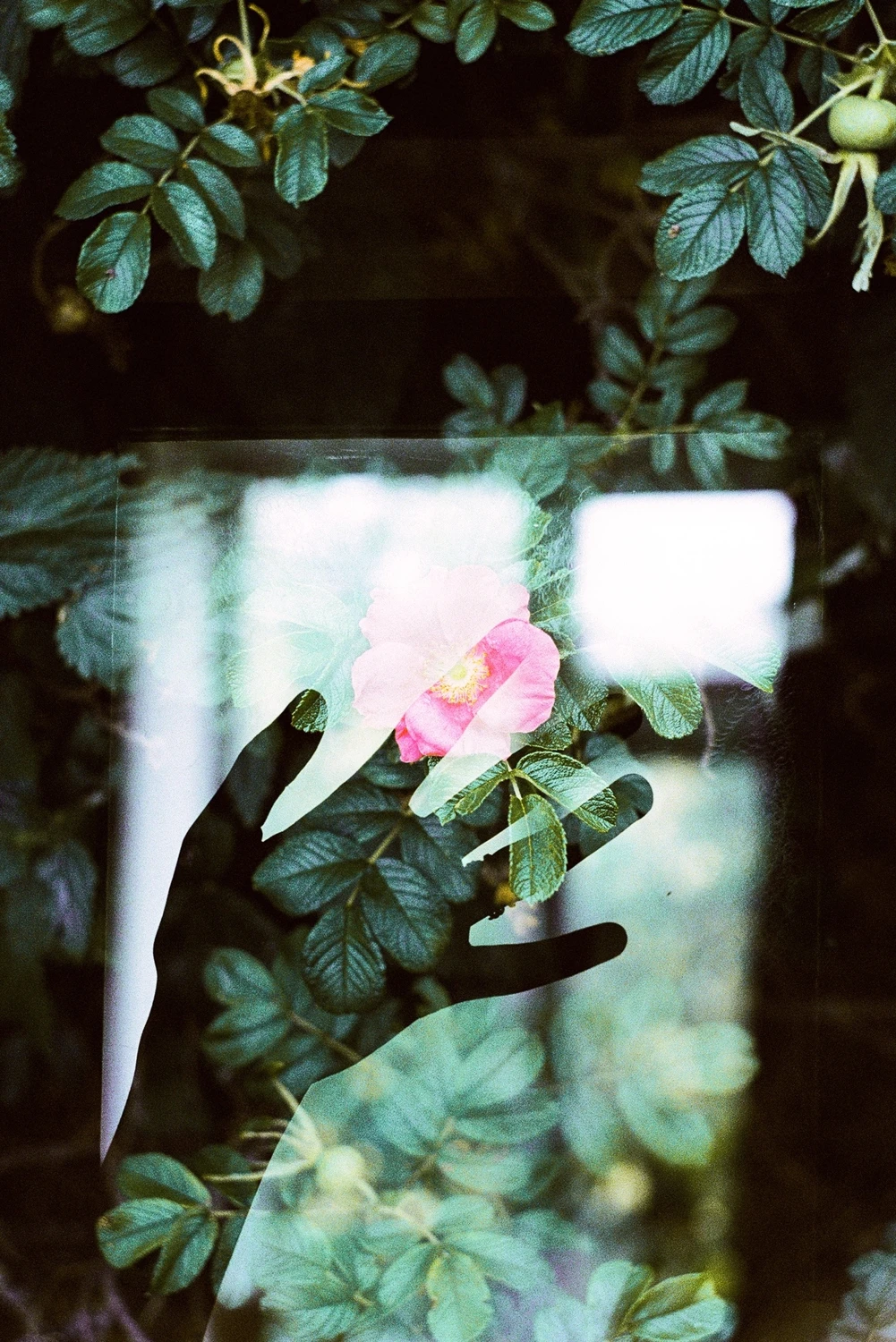 Moment of summer shot on Kodak UltraMax 400 with a Zenit 122, by Nastya Gornaya