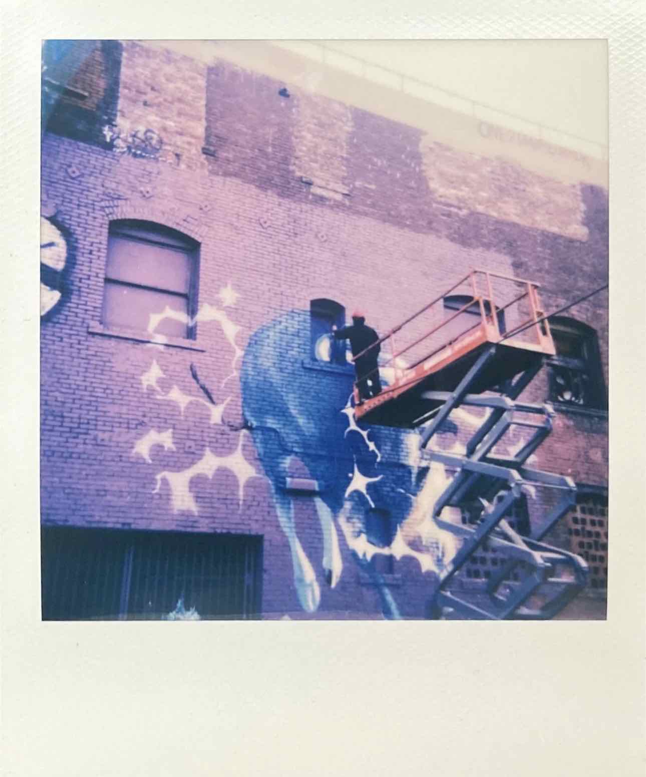 Film photo shot on Polaroid 600 with a Polaroid Sun 600, developed at The DarkRoom, by Burro.Playero