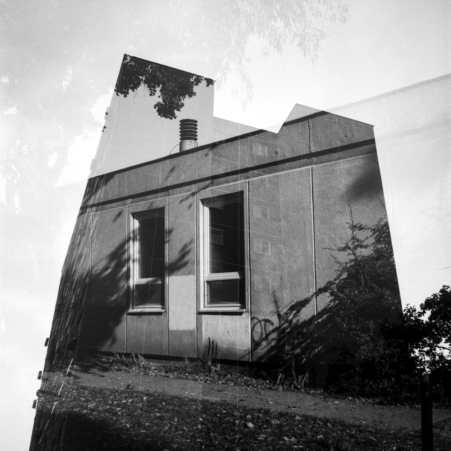 Untitled shot on Foma Fomapan 100 Classic with a Rolleicord Ia, by Viktor Bera