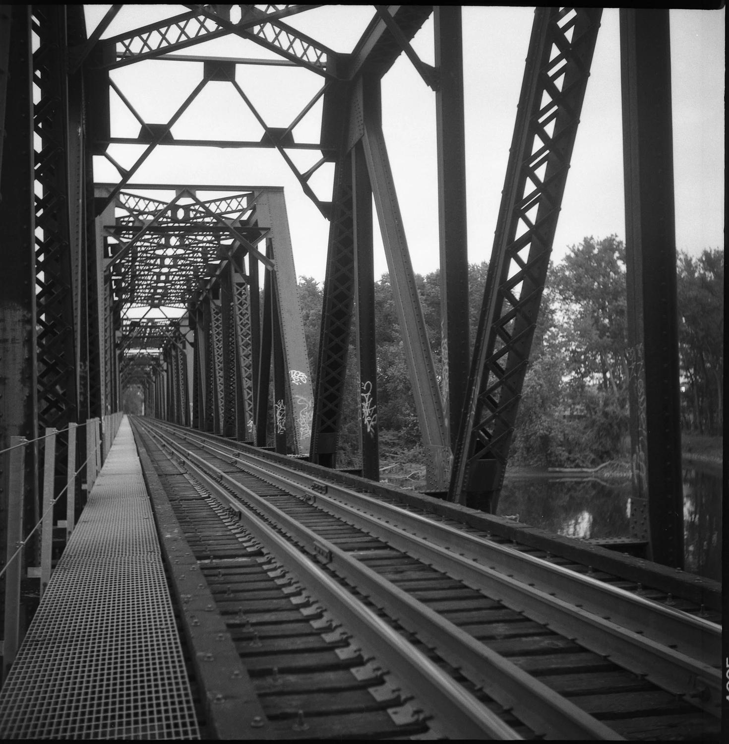 Train tracks 🛤 shot on Ilford Delta 400 with a Yashicaflex, by Issac