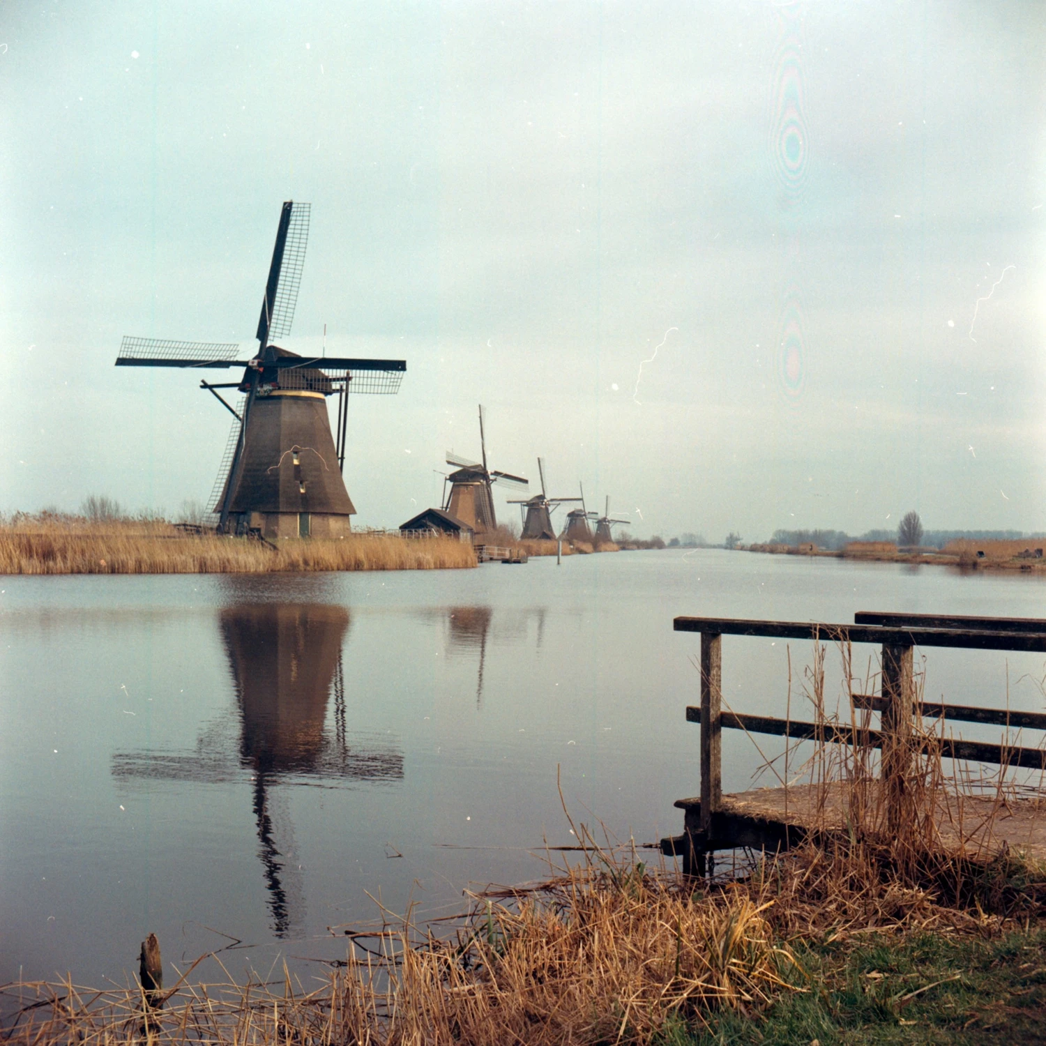 Kinderdijk II.23 shot on Kodak Gold 200 with a Zeiss Ikon Ikoflex, by Glebbio