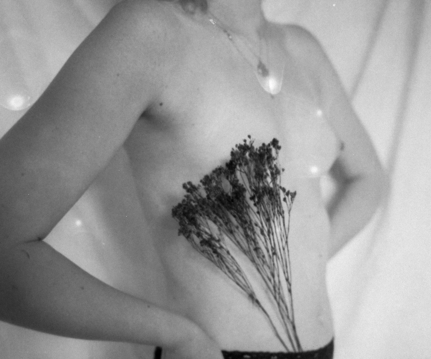 Flowers shot on Lomography Earl Grey 100 with a Mamiya 645, by David Grandmougin