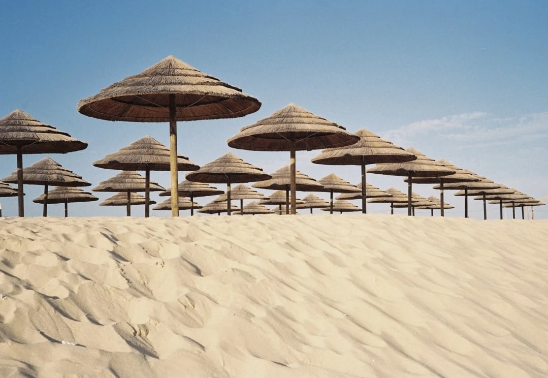 Sunshade umbrella army shot on Lomography CN 100 with a Agfa Optima 1035 Sensor, by Insa