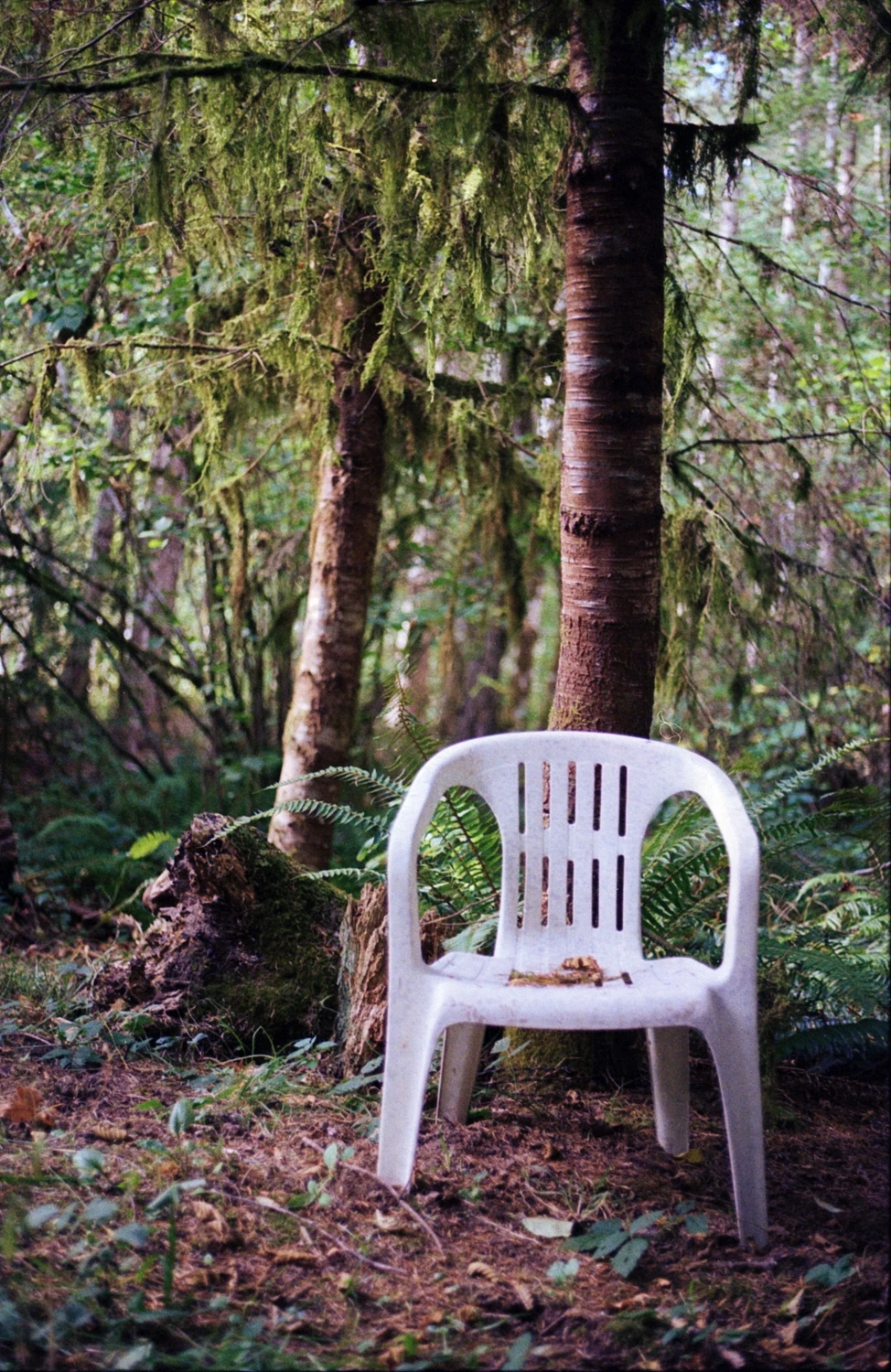 A Throne Fit for a King shot on Kodak Gold 200 with a Ricoh XR-7, by Cray