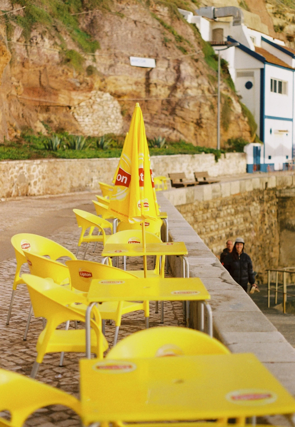 lipton shot on Kodak Gold 200 with a Pentax SP1000, by will hunt