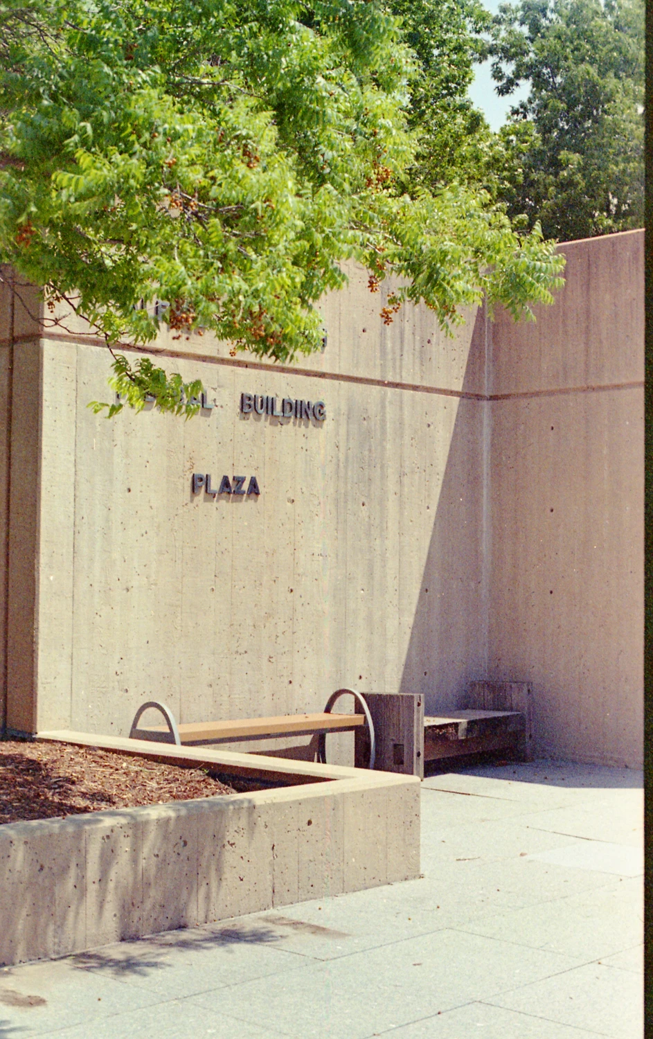 Film photo shot on Kodak Max 800, by Cray