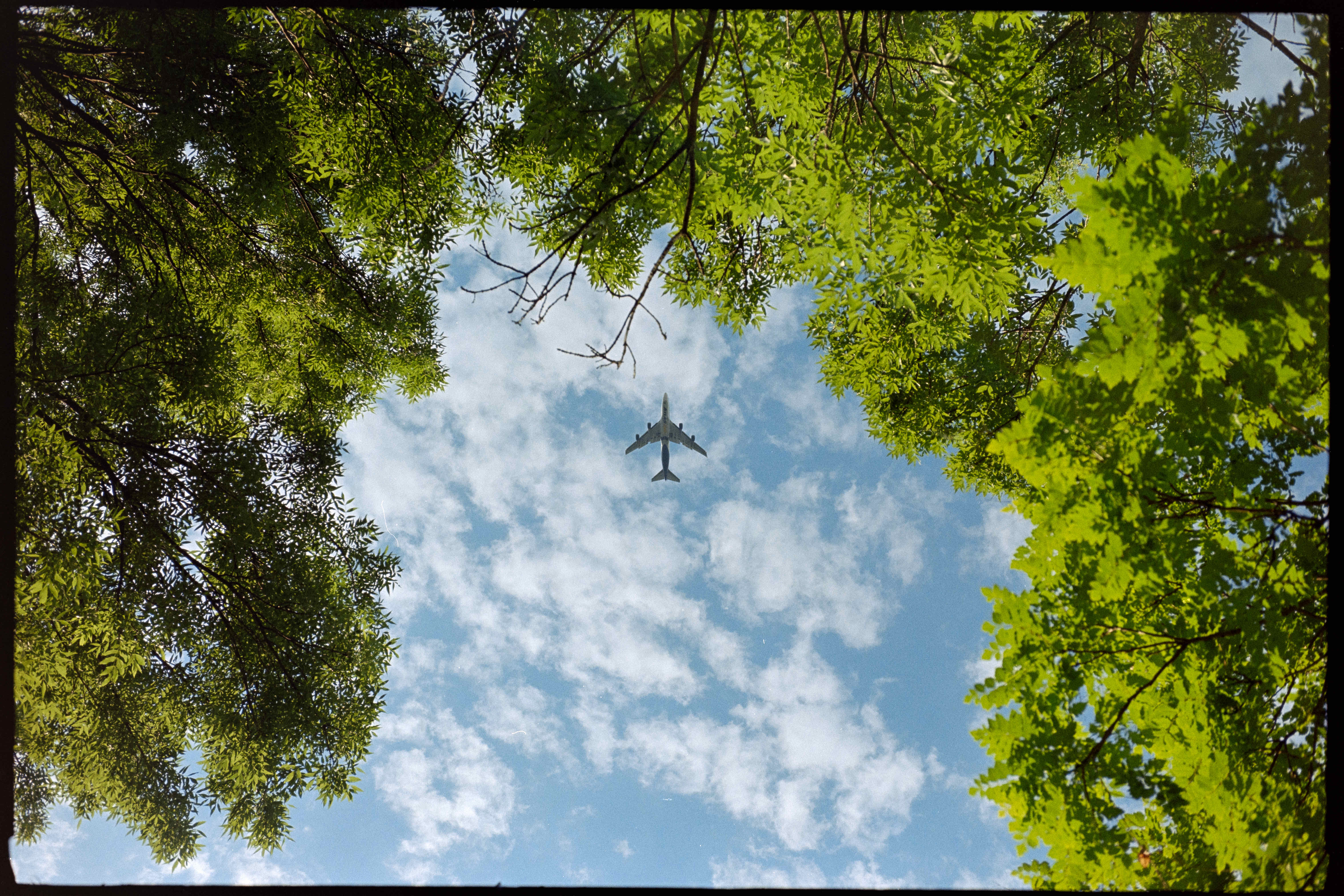 Plane over Hajógyári shot on Kodak Gold 200 with a Leica M4-P, developed at Home / Self-Developed, by Vitéz Ádám