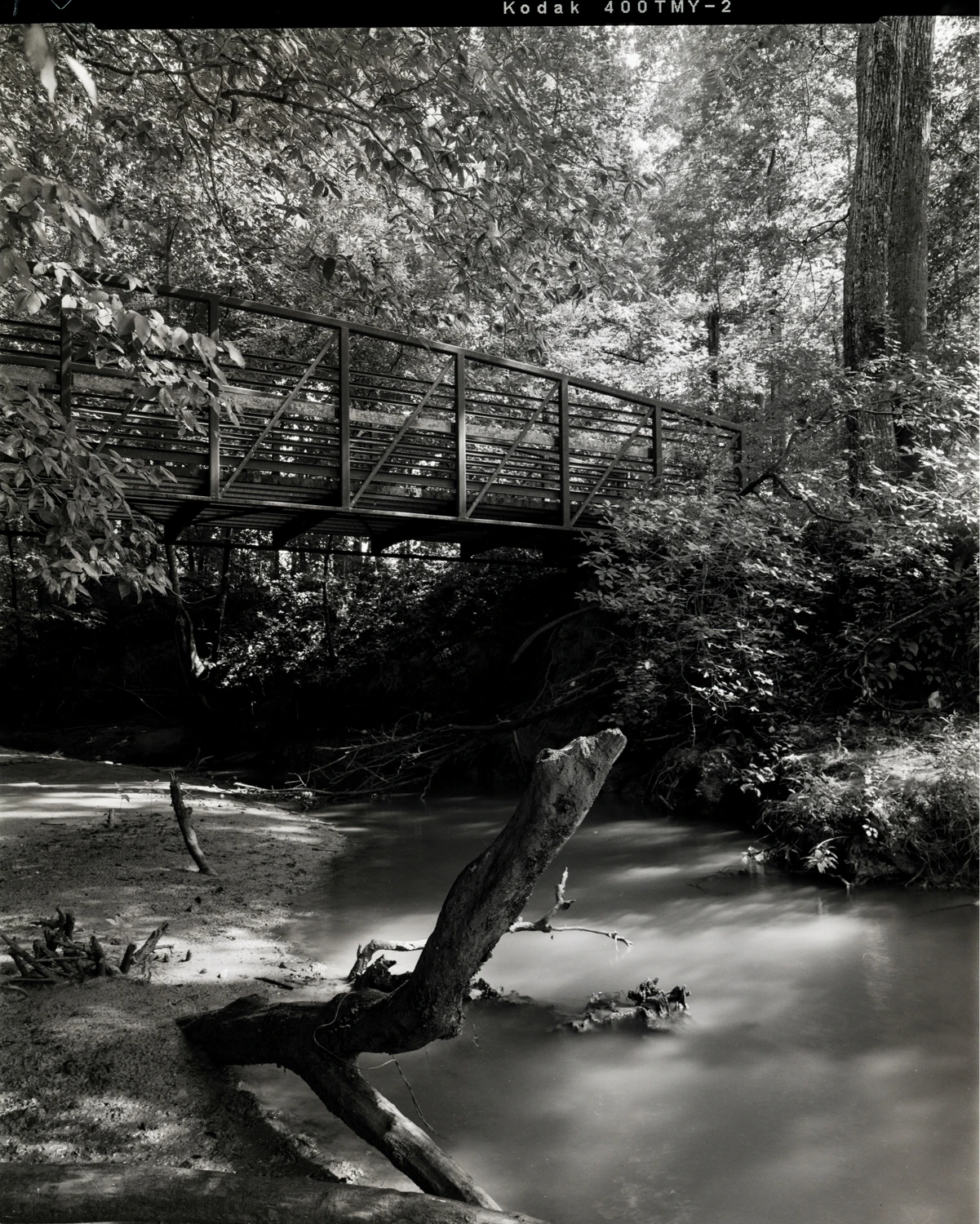 Jones Bridge Park, Georgia, USA shot on Kodak T-Max 400 with a Shen Hao HZX45-IIA, by Richard Vialet, ASC