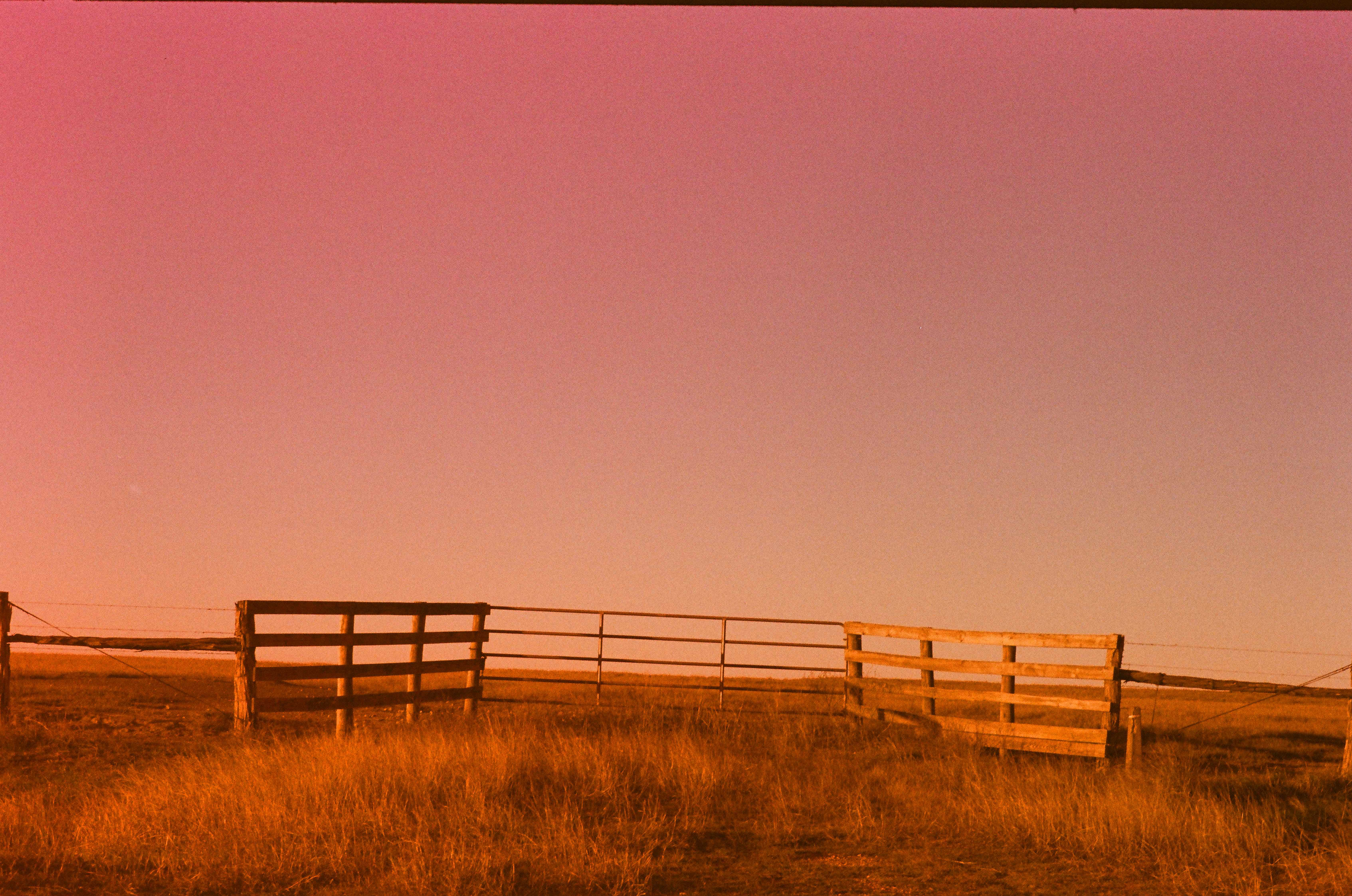 Open Range shot on Kodak UltraMax 400 with a Voigtländer Bessa R, by Jeff E. Brown