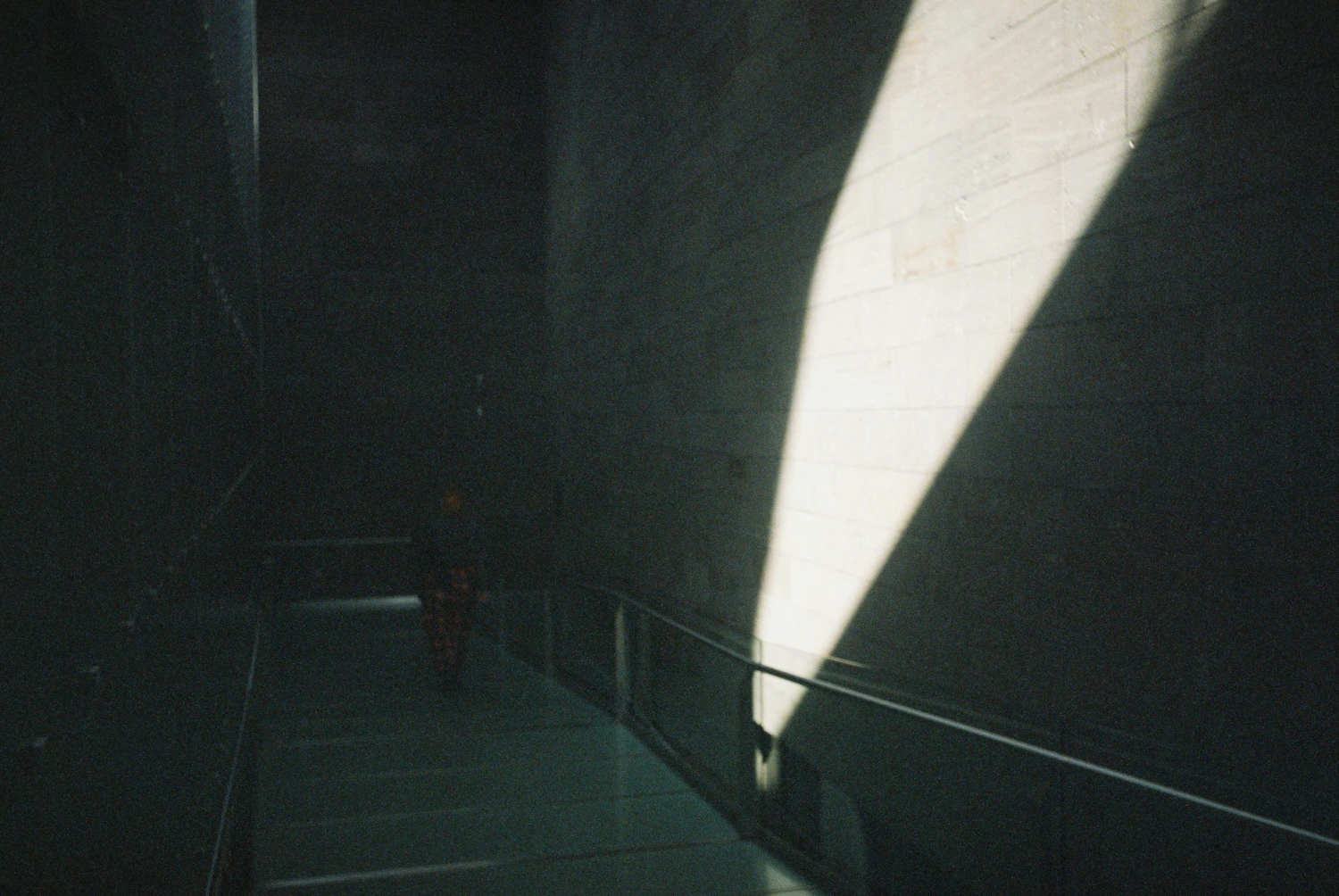 Girlfriend at the Gallery shot on Fujifilm Superia Venus 800 with a Leica M3, by Phoebe Prey