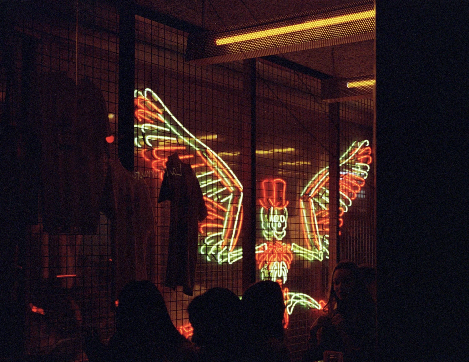 Le squelette ailé shot on Lomography CN 800 with a Leica M6, developed at Photo Devert, by Art.gentique