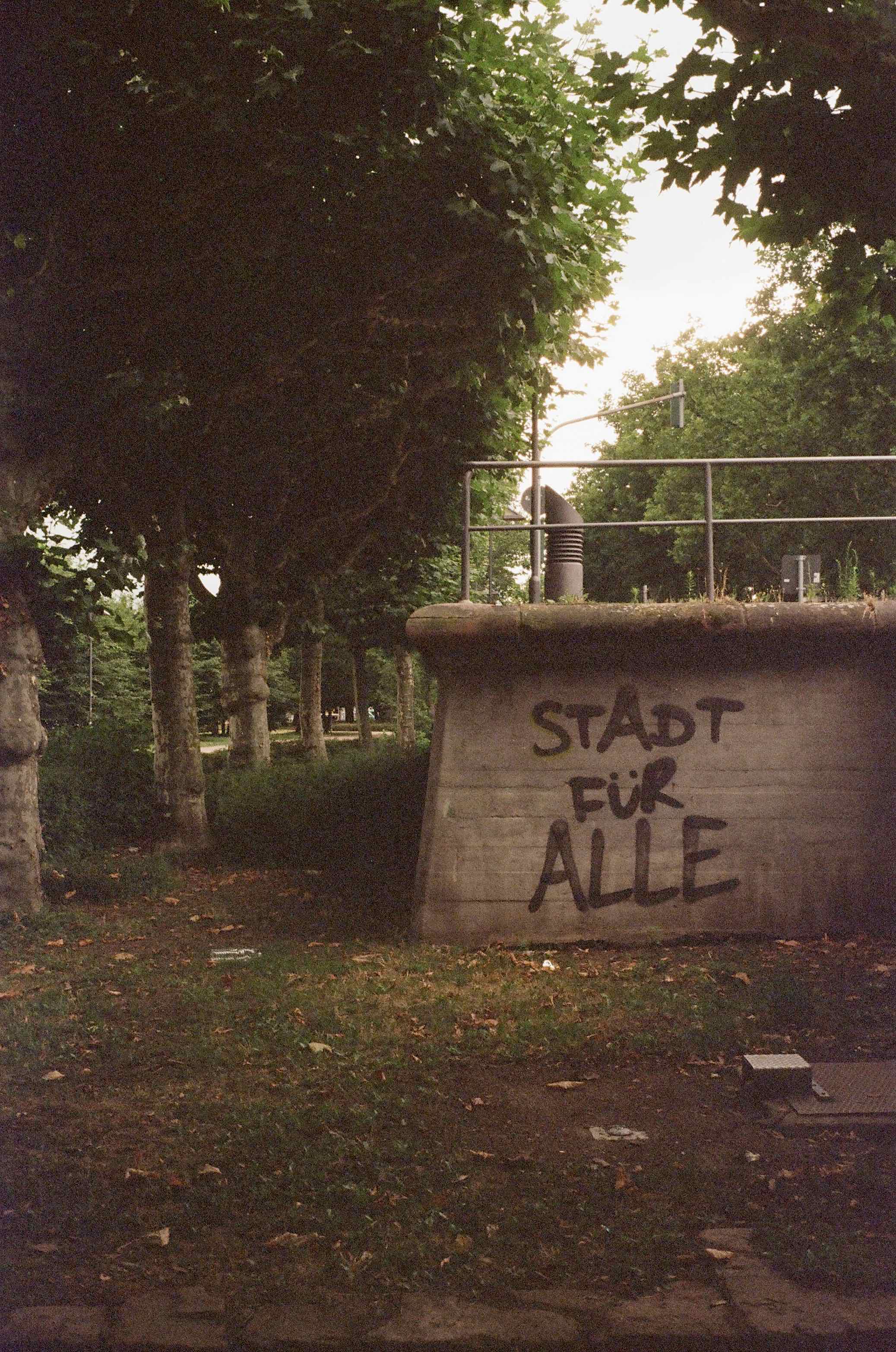 Film photo shot on Lomography CN 400 with a Nikon F3, developed at full circle fine art services, by thistle
