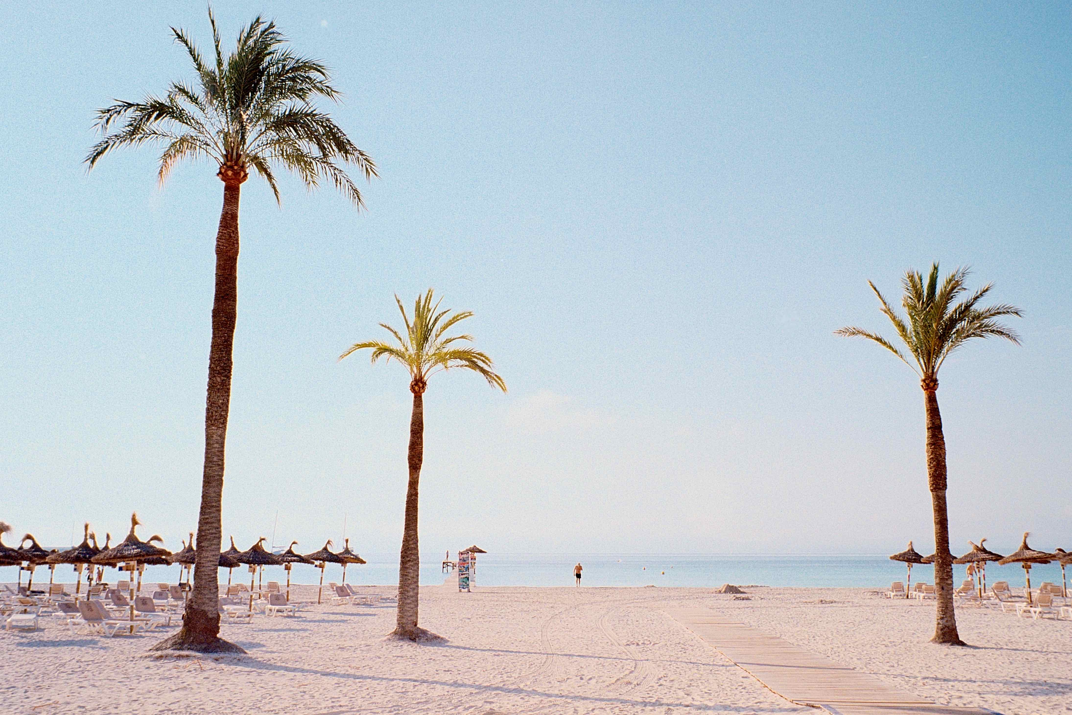 Beach at early morning shot on Kodak Ektar 100 with a Leica M6 Classic, developed at Bildscanning.se, by Green