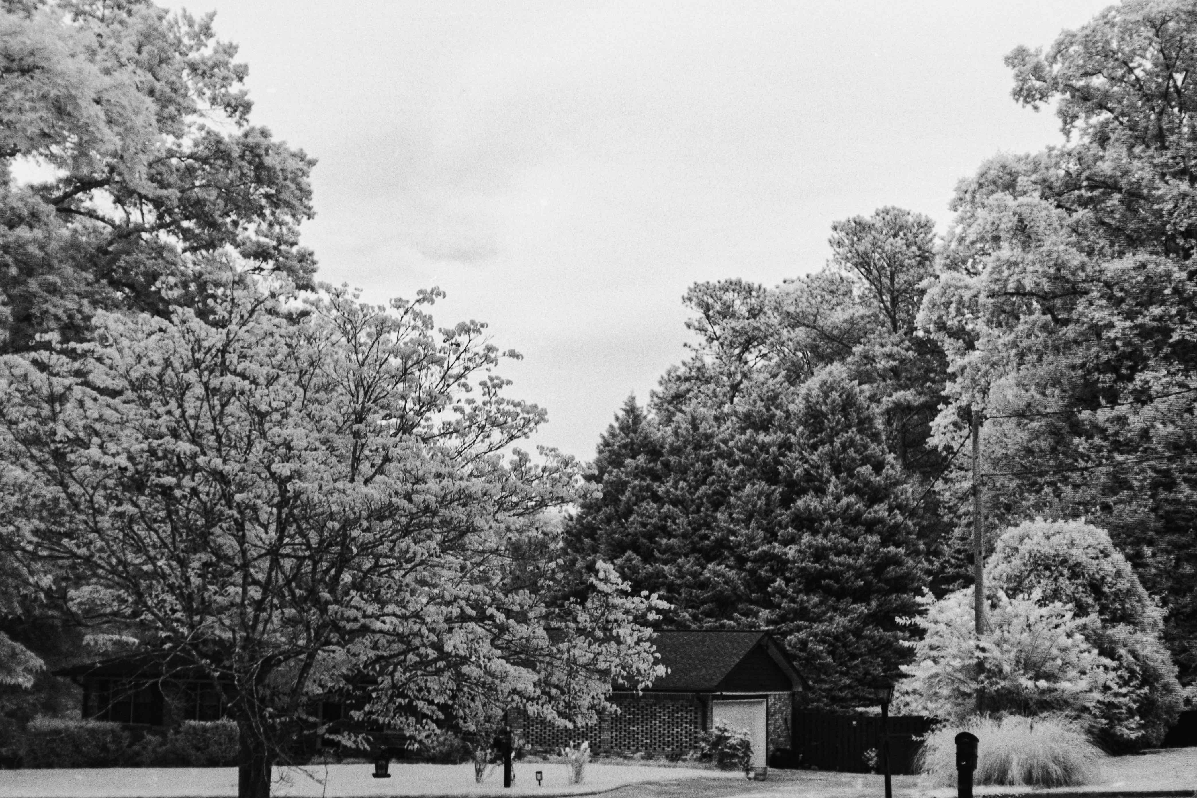 The House Next Door shot on Rollei Infrared 400 with a Yashica Lynx 5000, developed at Home / Self-Developed, by Ryan Jensen