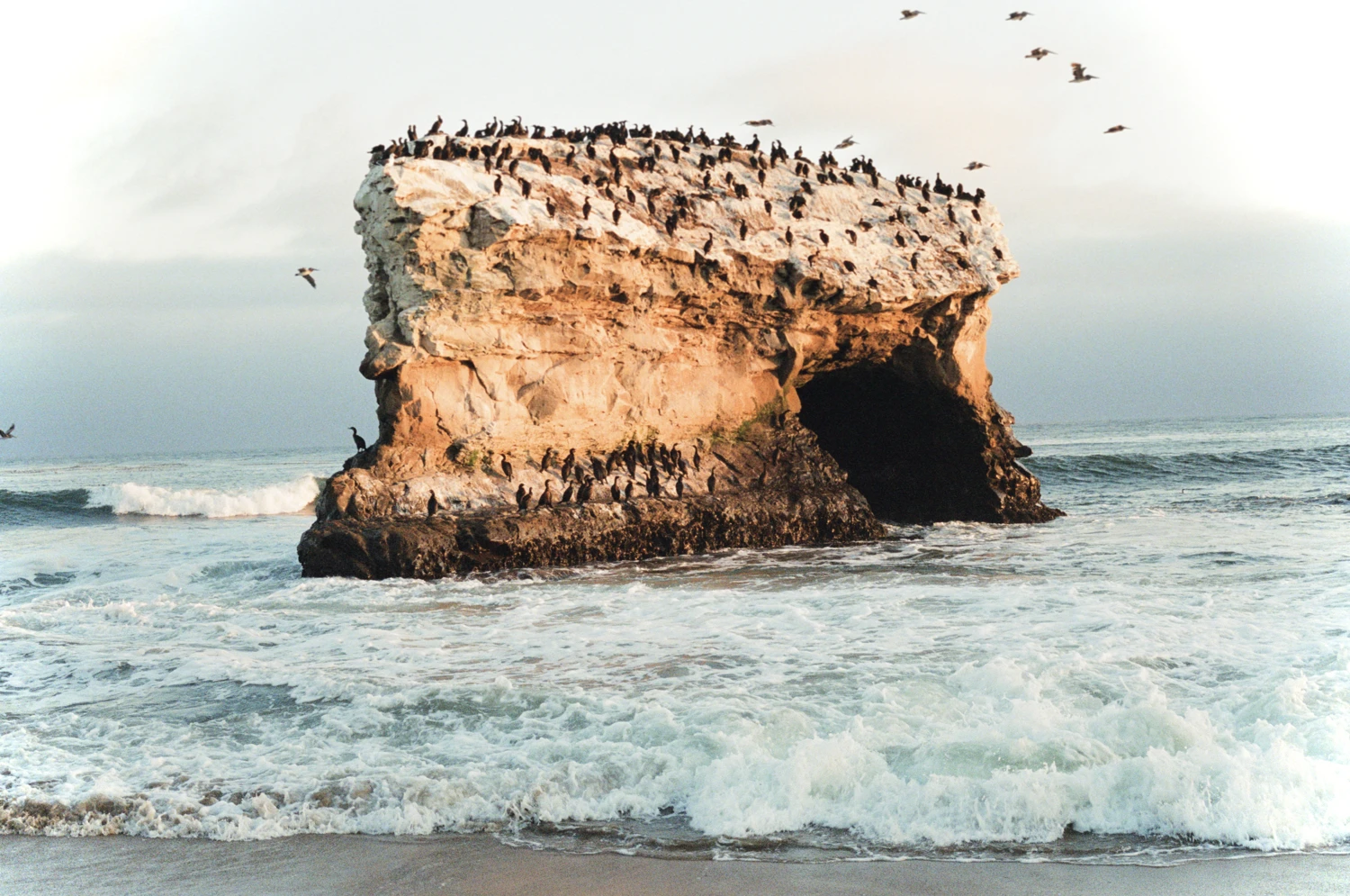 Where the Bridge? shot on Kodak Portra 800 with a Canon EOS 630, by Dylan Martisius