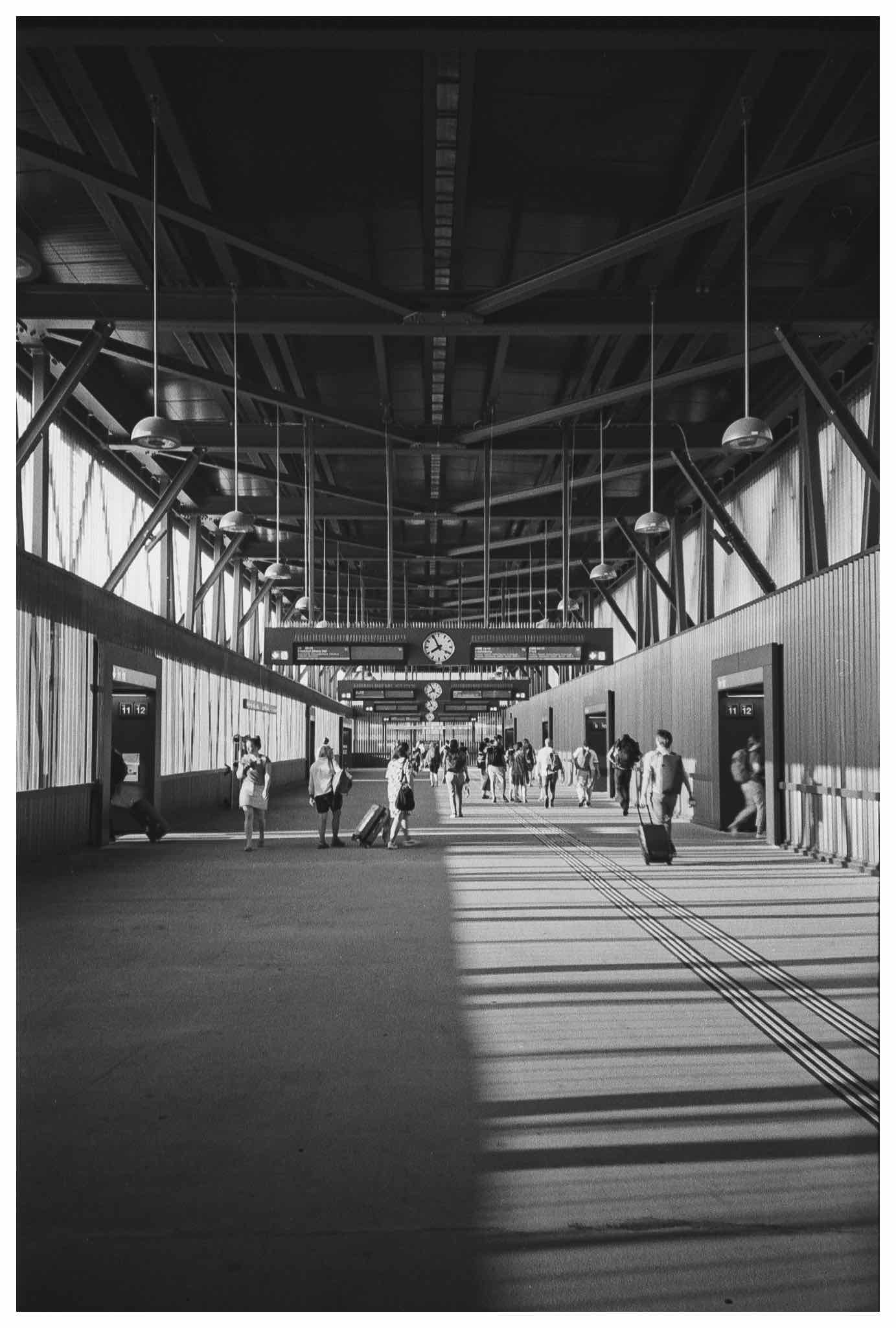 Film photo shot on Ilford Delta 100 with a yashica T4-Zoom, developed at Home / Self-Developed, by wholegrain