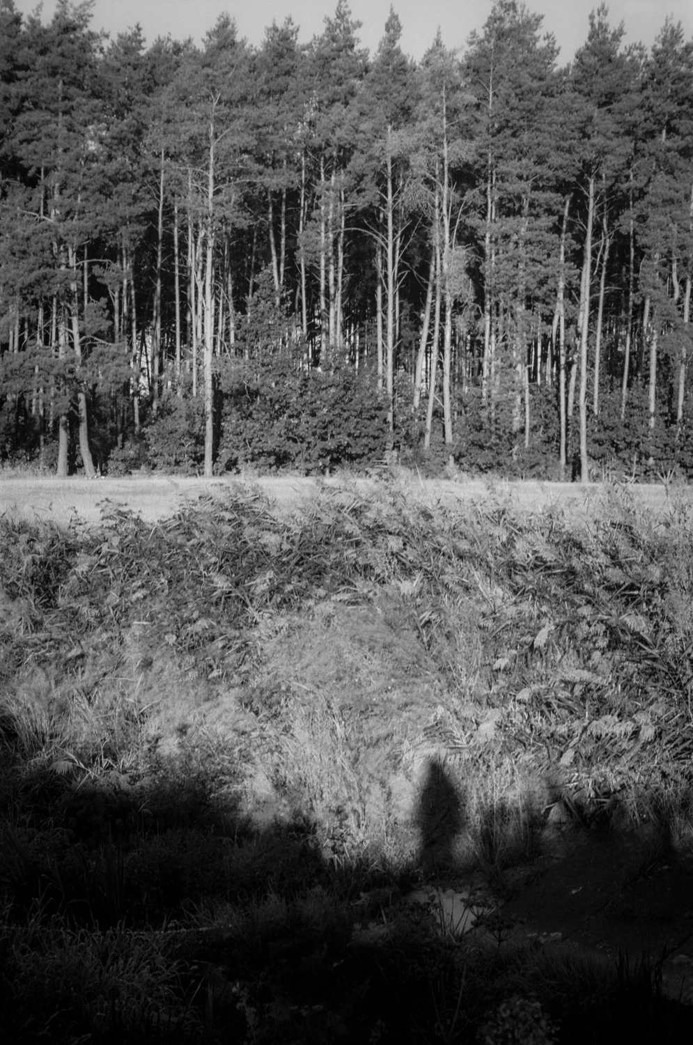 Humanity shot on Foma Fomapan 100 Classic with a Olympus Superzoom 700 XB, by sylwia