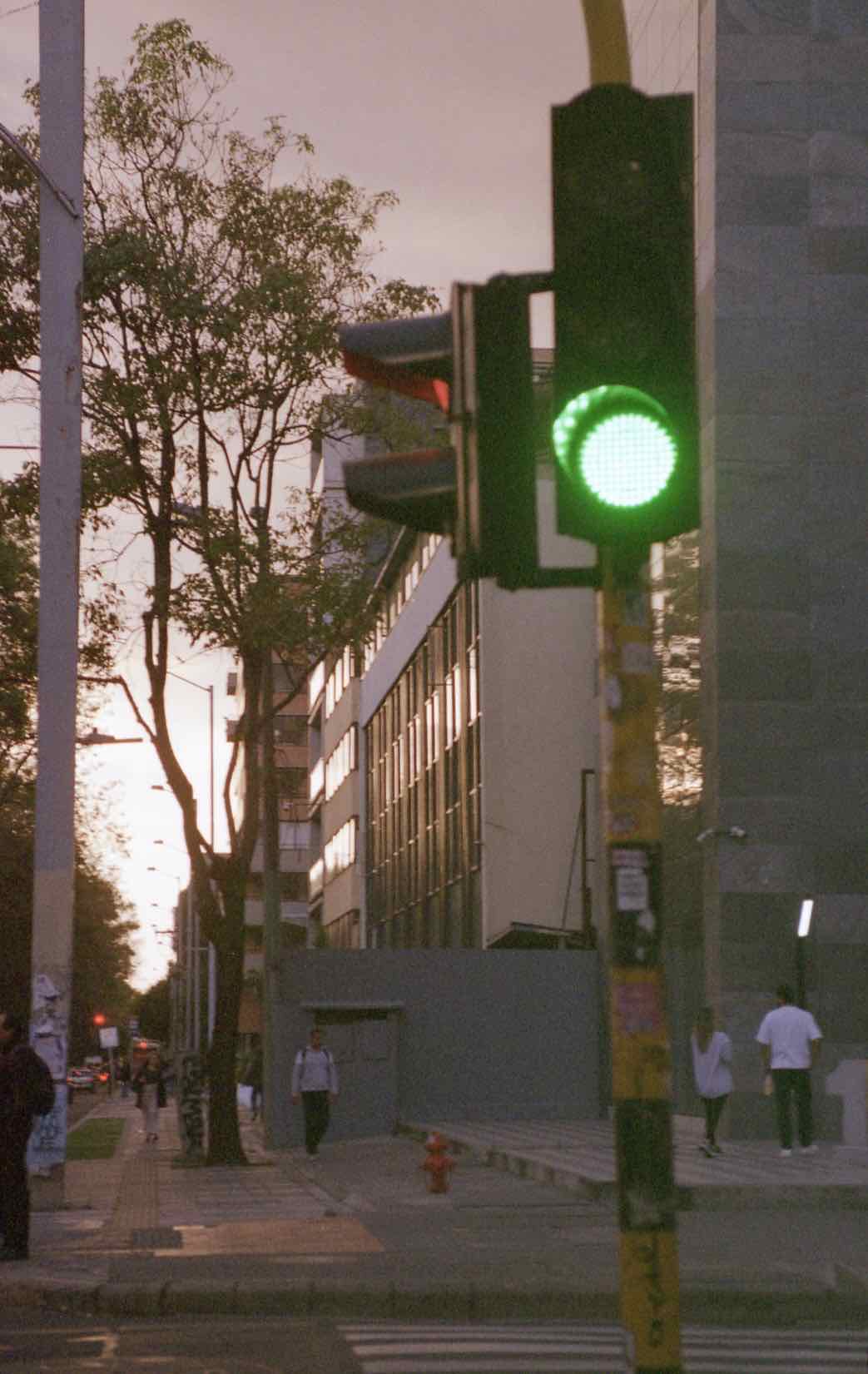 Film photo shot on Kodak Portra 400 with a Leica R8, developed at Fotocomputo, by Paula