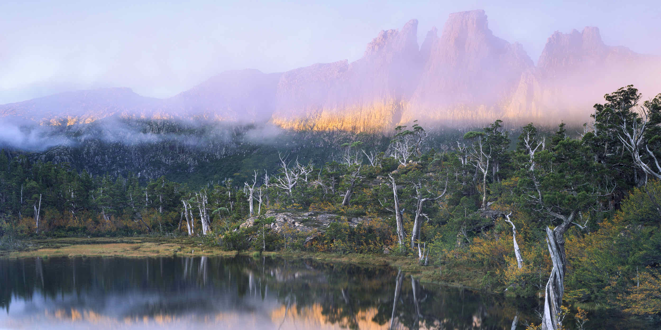 POOL OF MEMORIES, CRADLE MOUNTAIN-LAKE ST CLAIR NATIONAL PARK, TASMANIA shot on Fujifilm Velvia 50 with a Intrepid 4x5 MK4, developed at Home / Self-Developed, by Will Camp