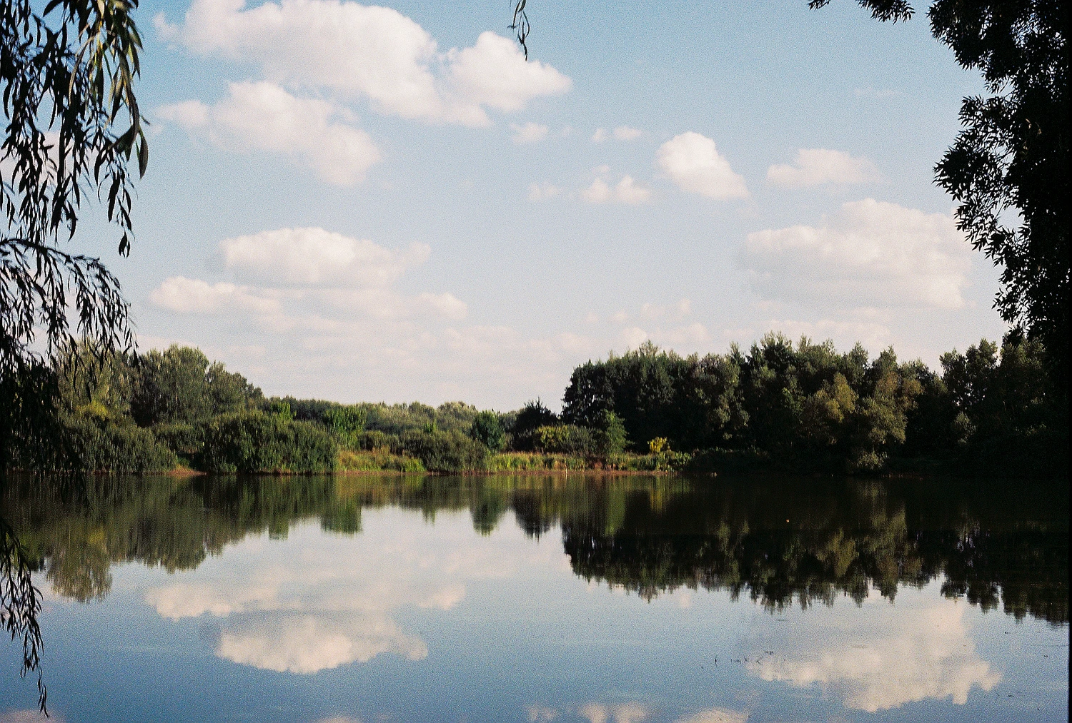 Film photo shot on Fujifilm Superia X-TRA 400 with a Zeiss Ikon Icarex 35S, by Maryca