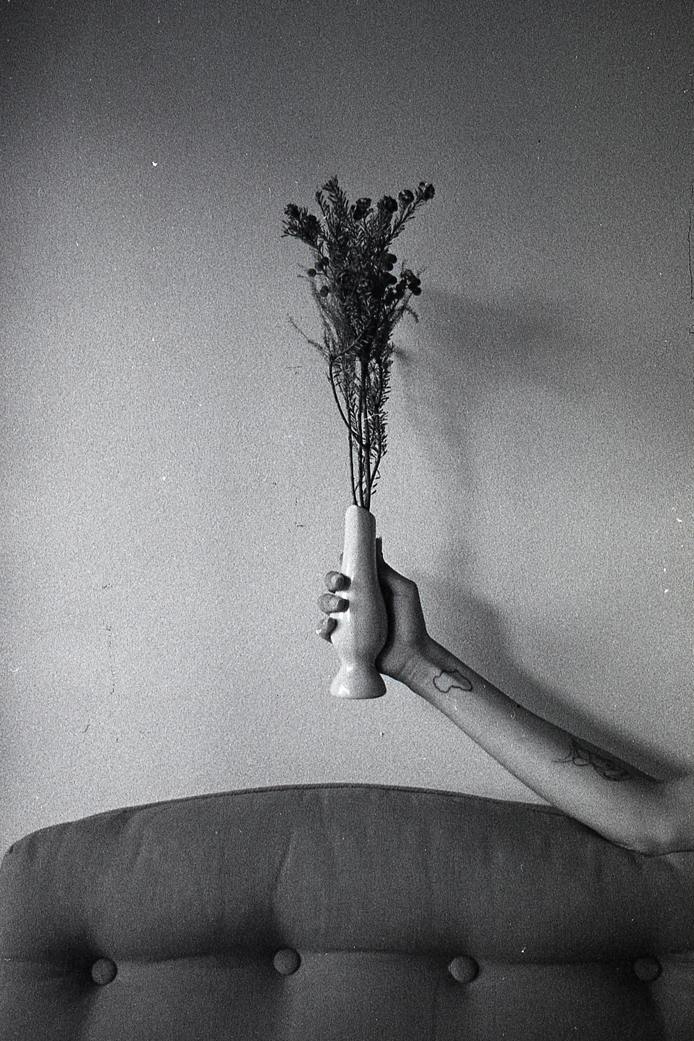 One Day We Shall Bloom shot on Lomography Berlin Kino 400 with a Nikon FM2, by Willem van den Heever