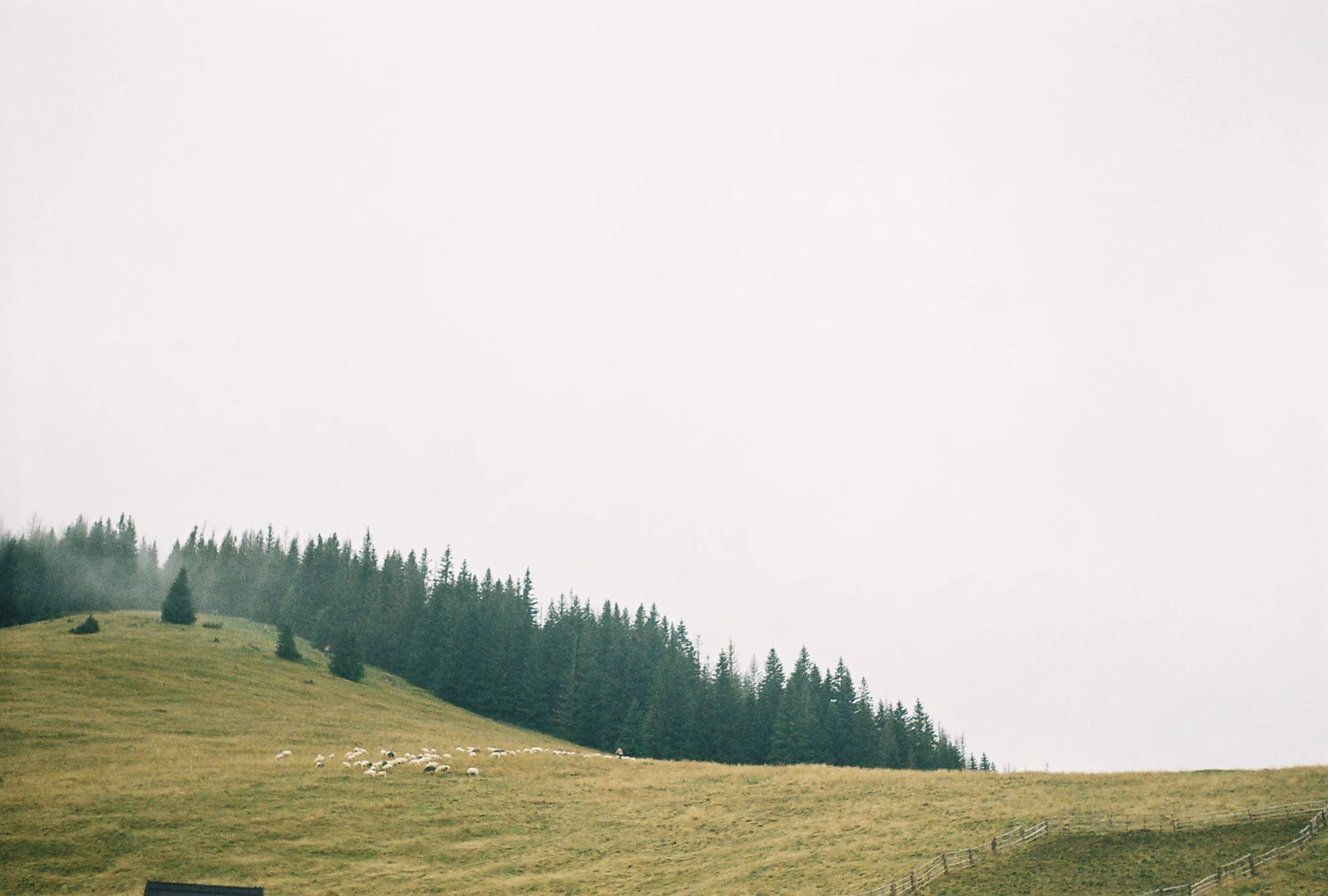 i lost something in the hills shot on Kodak ColorPlus 200 with a Smena Symbol, by qleszka