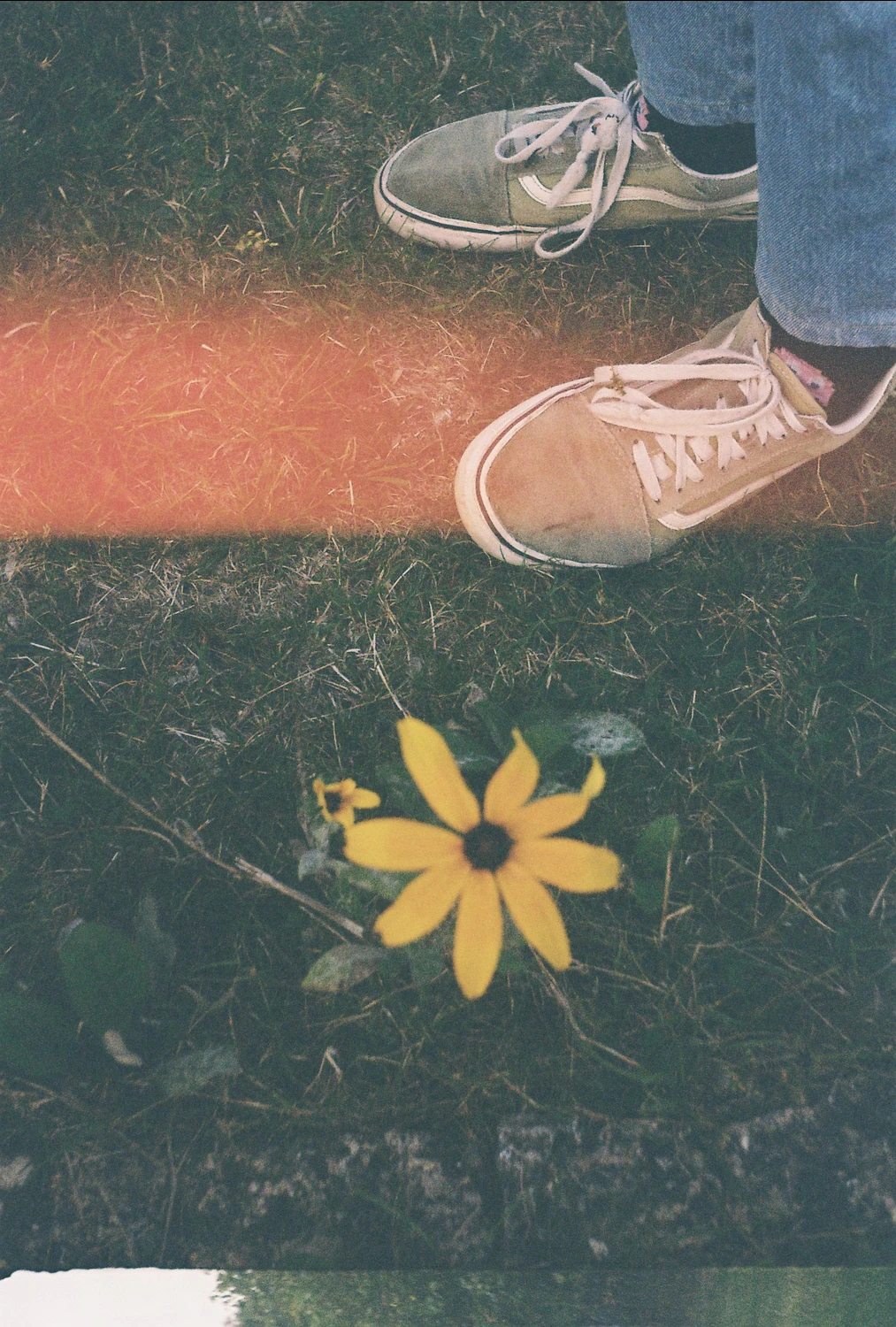 matilda shot on Kodak ColorPlus 200 with a Smena Symbol, by qleszka