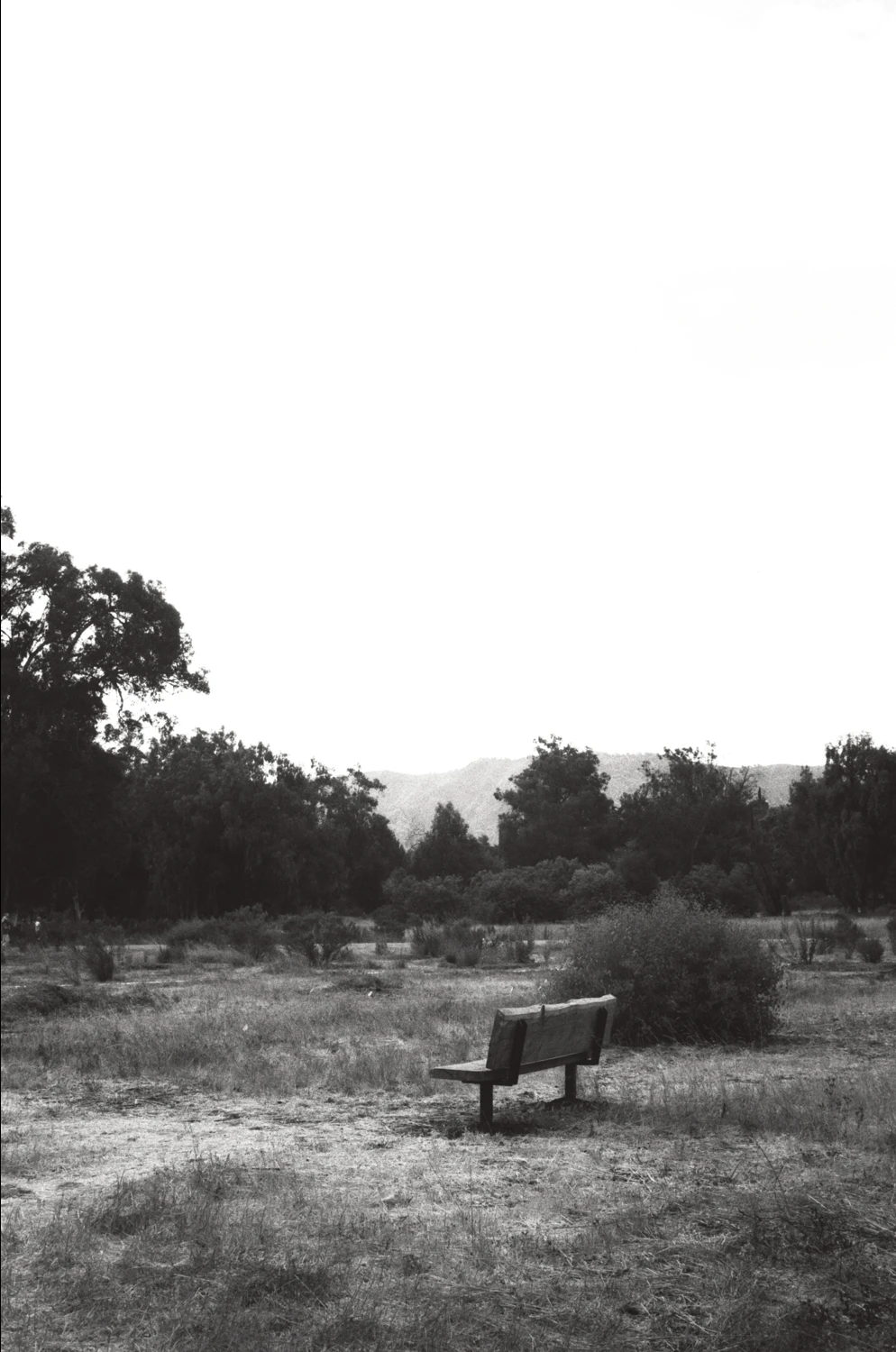 Solitude shot on Svema Foto 200 with a Canon Canonet G-III QL17, by Aki Wandering