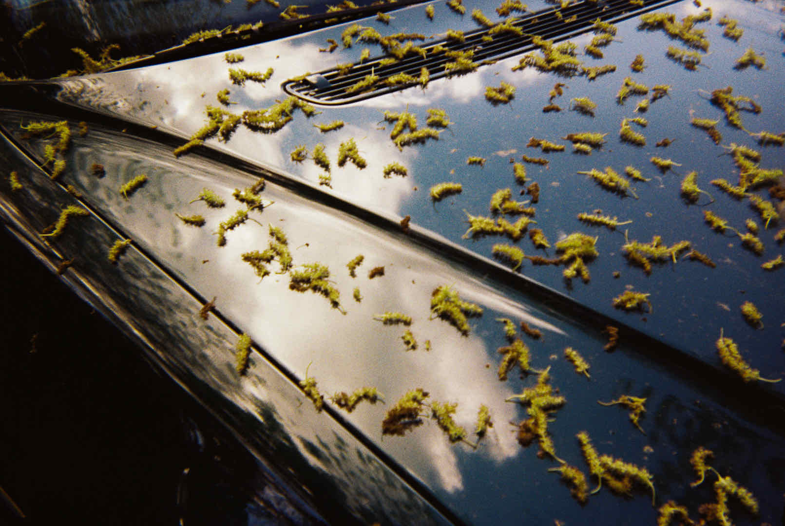 Car shot on Kodak ColorPlus 200 with a Kodak Instamatic56X, by Ana Rusu