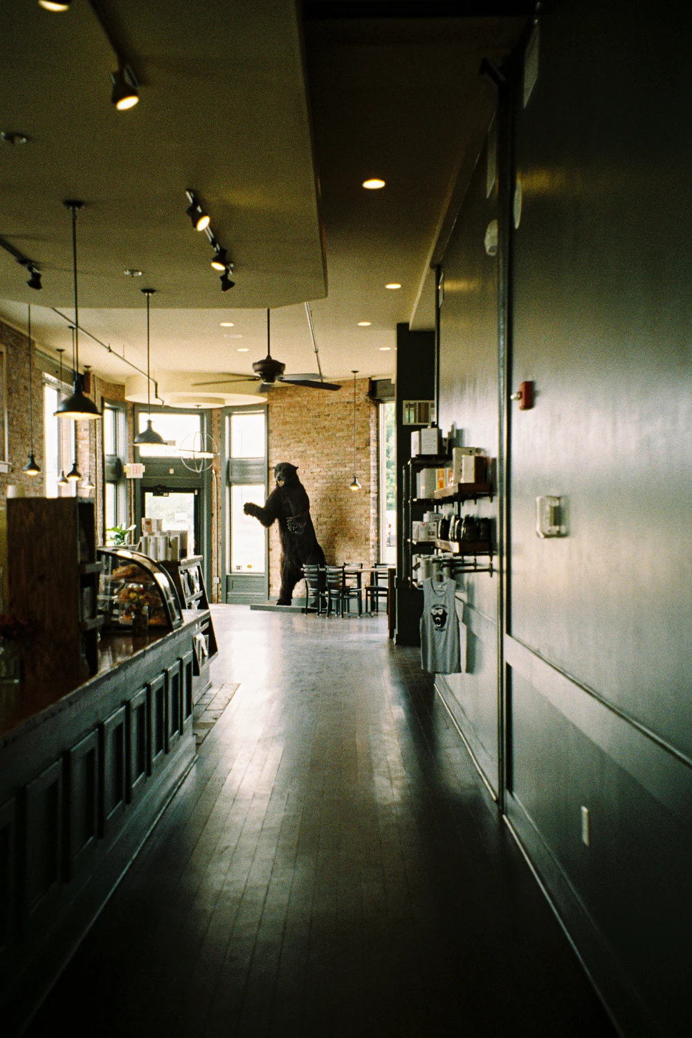 Coffee shot on Fujifilm FujiColor C200 with a Leica C1, by Jacob Sever