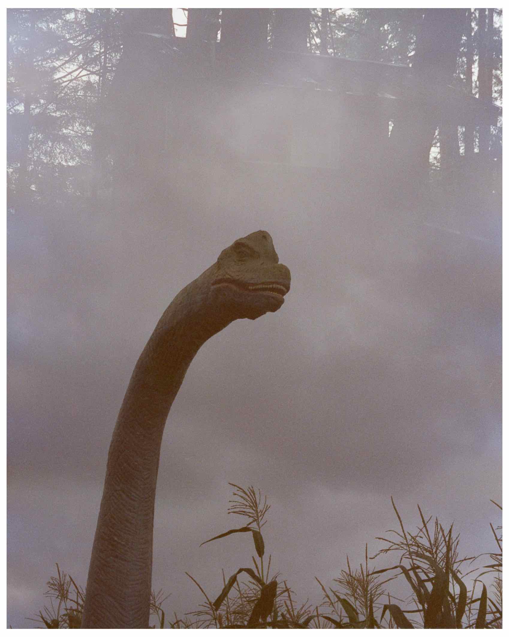 Jurassic Farm shot on Candido Collective Candido800 with a Nikkormat FTN, by burntsoup06