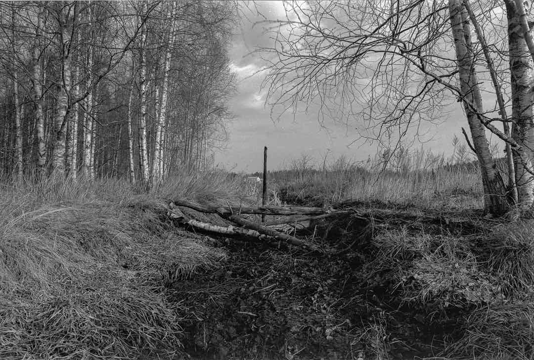 Spring I shot on Lomography Babylon Kino 13 with a Nikon F100, developed at Home / Self-Developed, by Jussi