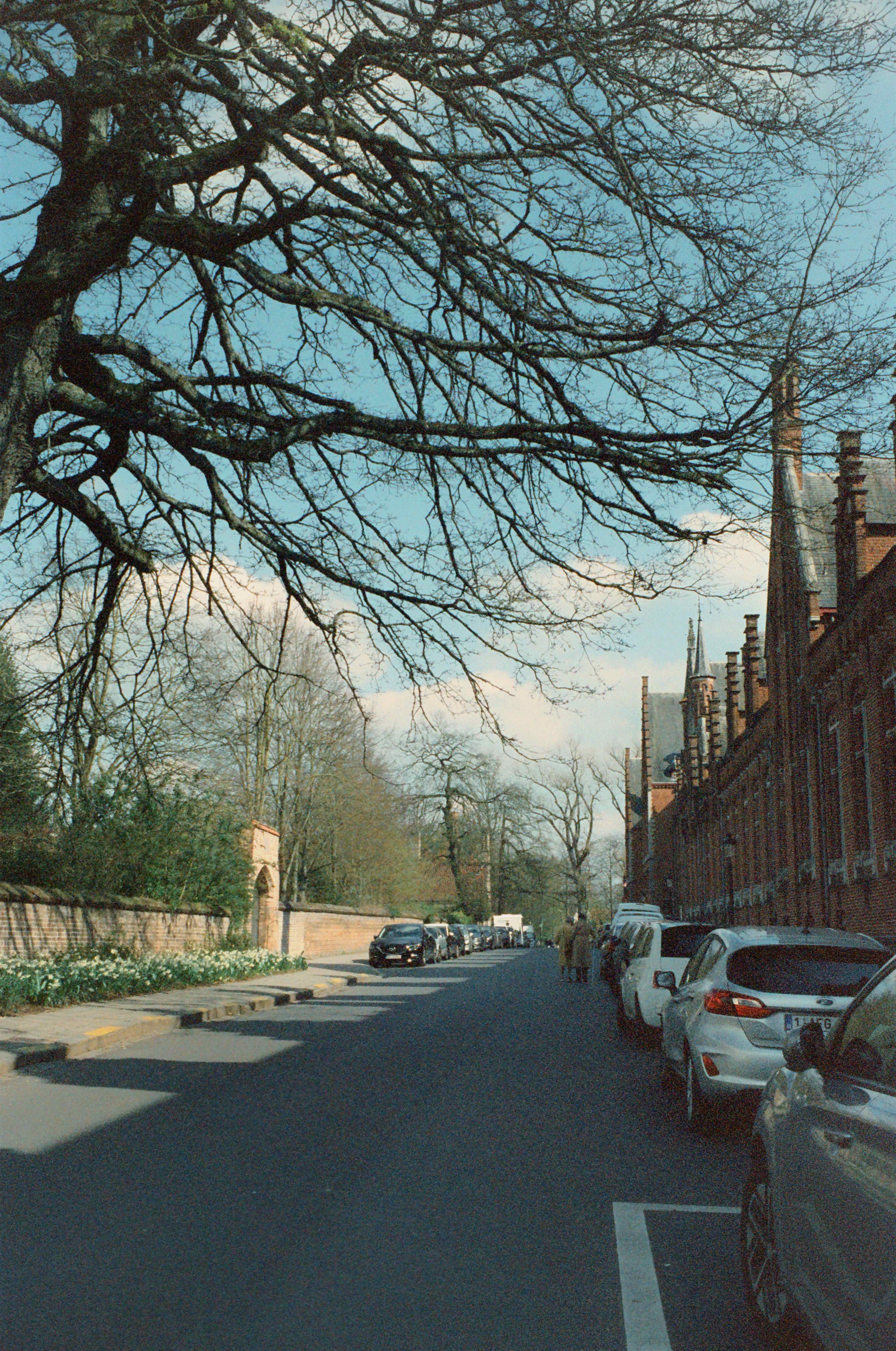Stroll along the streets while on vacation. shot on Cinestill 800T with a Minolta SR-T Super, developed at FilmFotoStore, by Soumyaroop Chatterjee