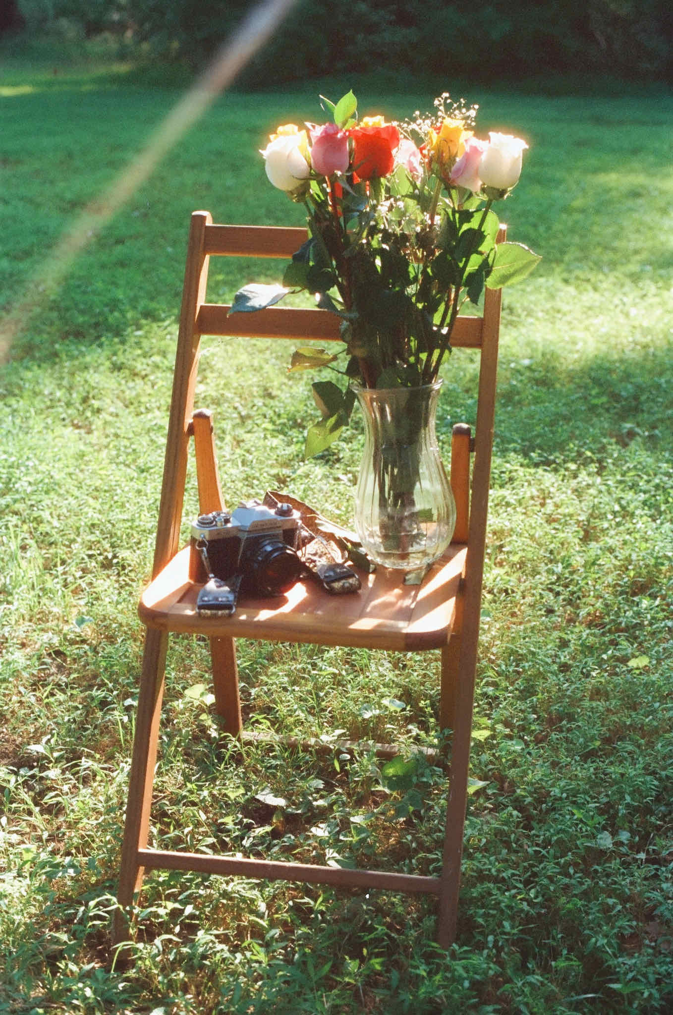 She is my Queen. 👑 shot on Kodak Gold 200 with a Nikon N80, developed at Film Developing Co. , by Julie