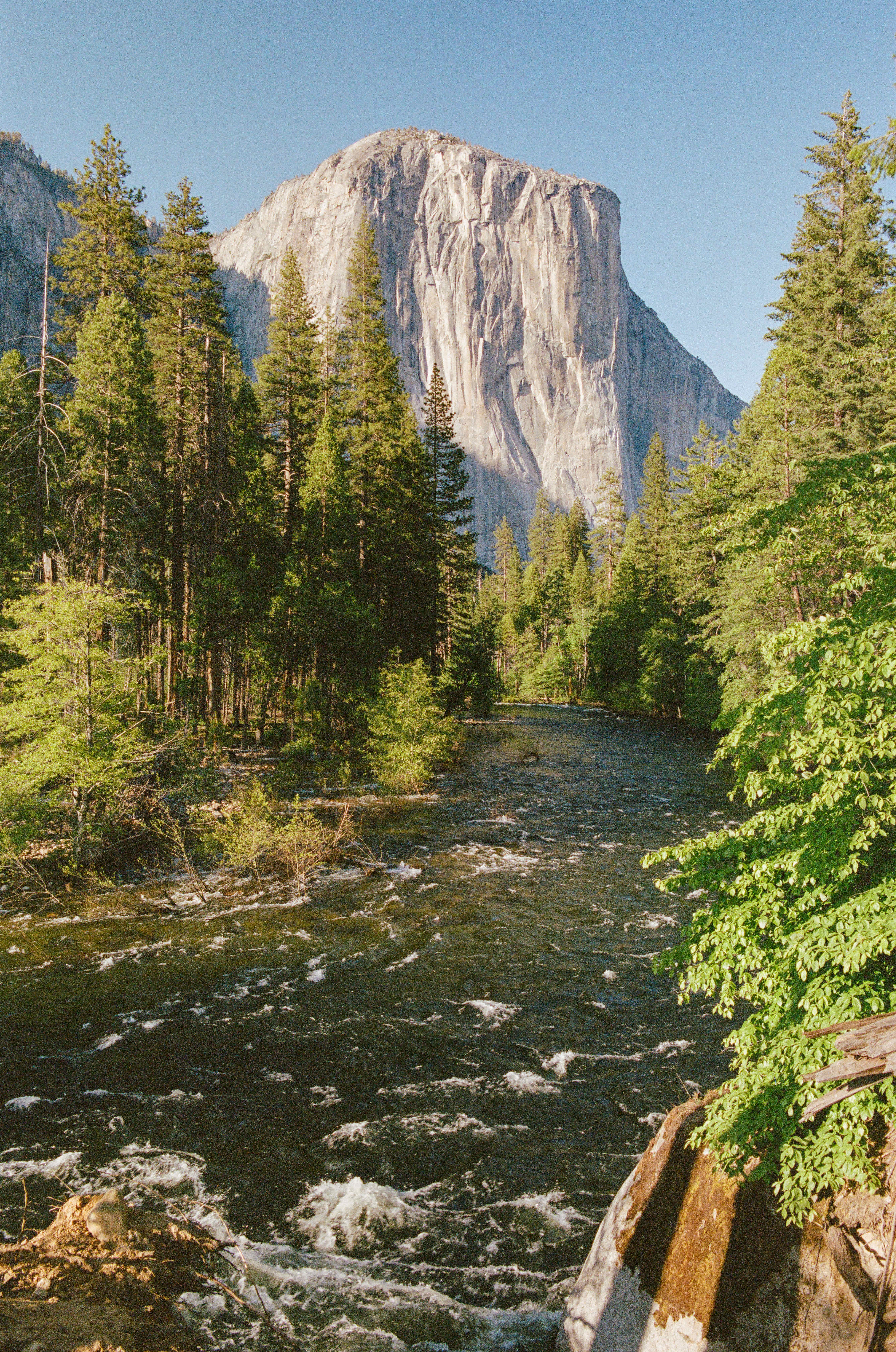El Cap shot on Kodak Portra 400 with a Nikon F100, developed at The Darkroom, by David