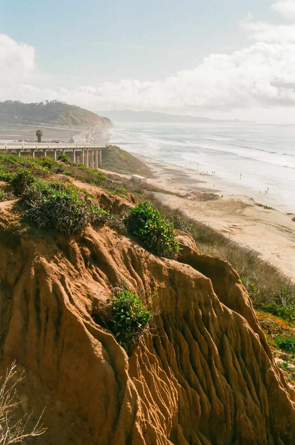 Torrey Pines shot on Kodak UltraMax 400 with a Nikon FM3A, developed at Old School Photo Lab, by Frank Kernan