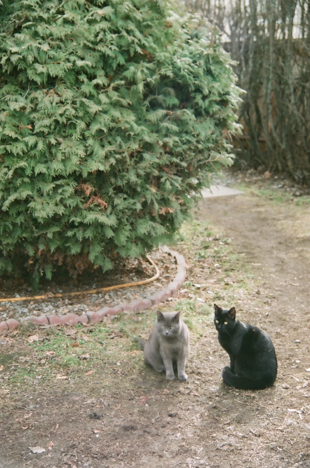 Film photo shot on Fujifilm Superia 200 with a Nikon N2000, by Georgia