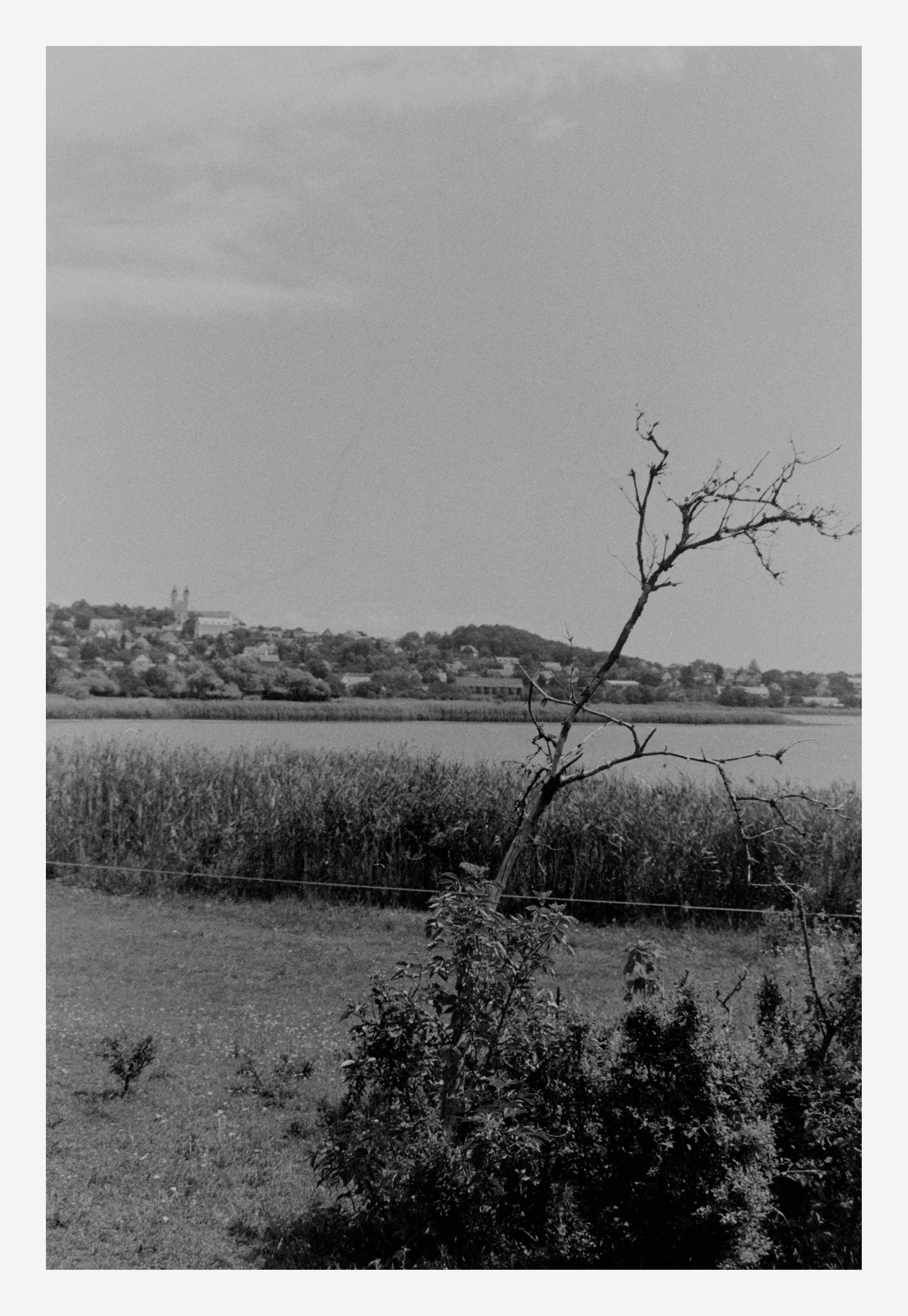 Approaching Drought shot on Forte Fortepan 100 with a Nikon F50, developed at Home / Self-Developed, by AkosArnold