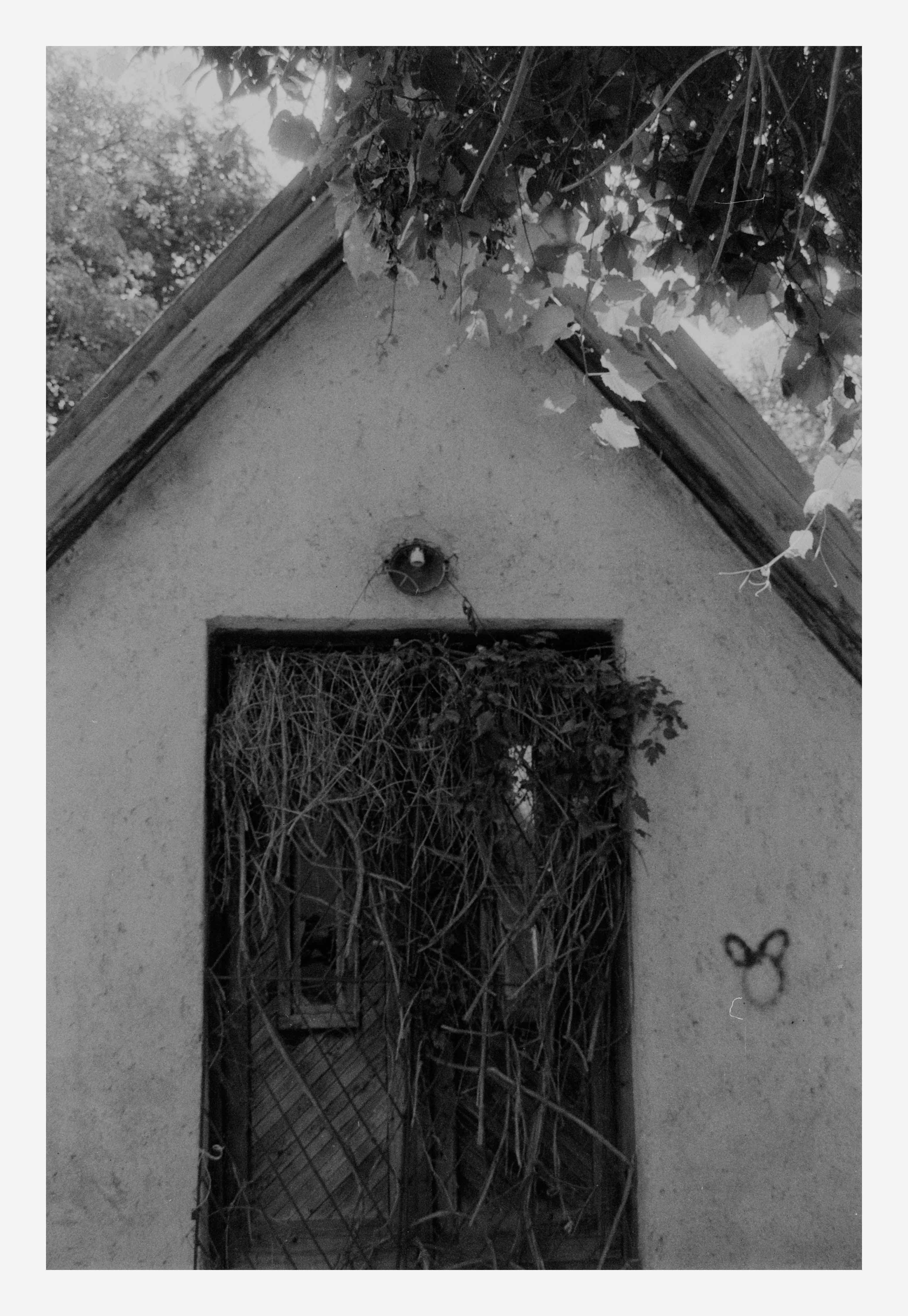 Sealed by Vines shot on Forte Fortepan 100 with a Nikon F50, developed at Home / Self-Developed, by AkosArnold