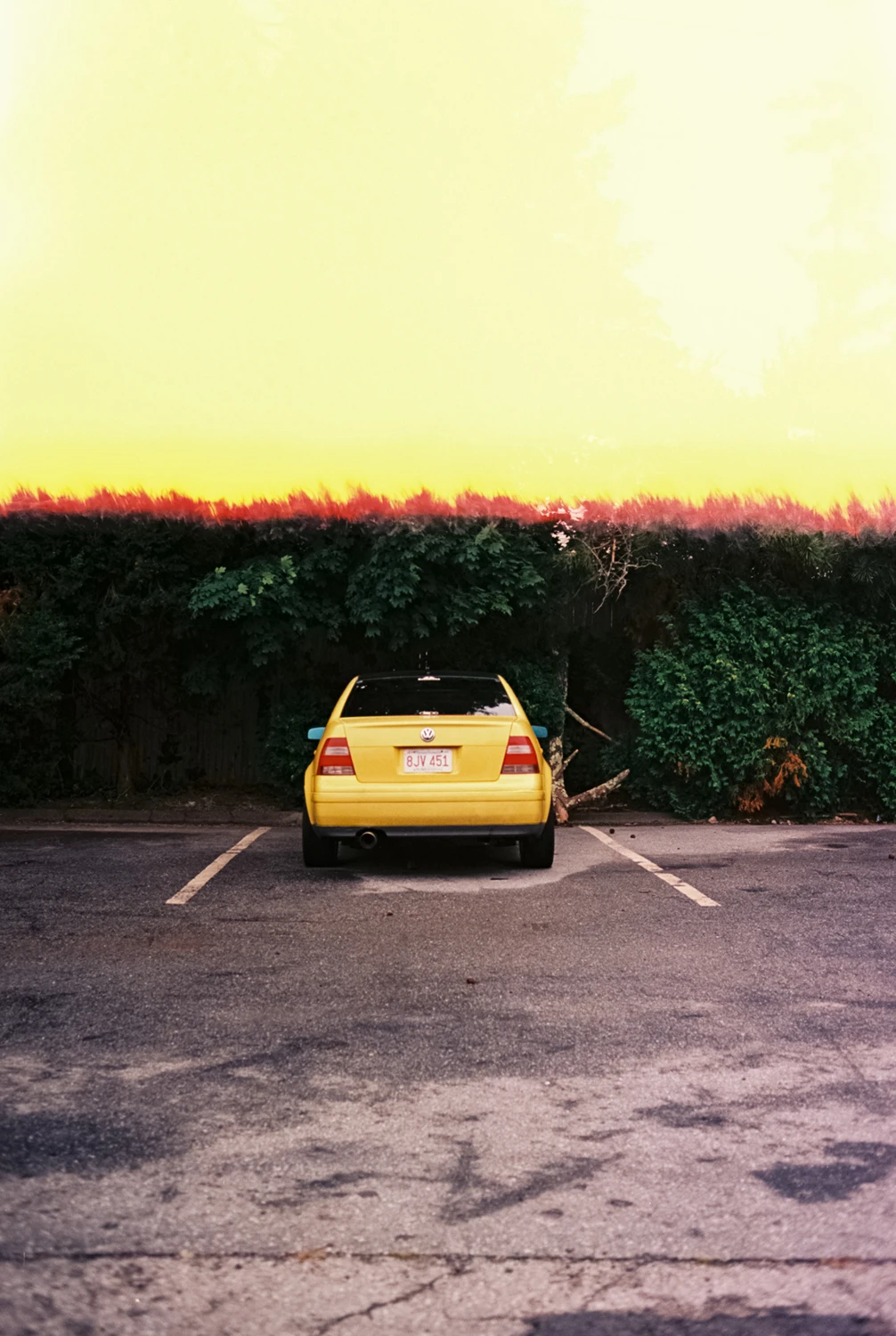 first in the lot shot on Kodak Ektar 100 with a Leica R6.2, by Zach Nicholson
