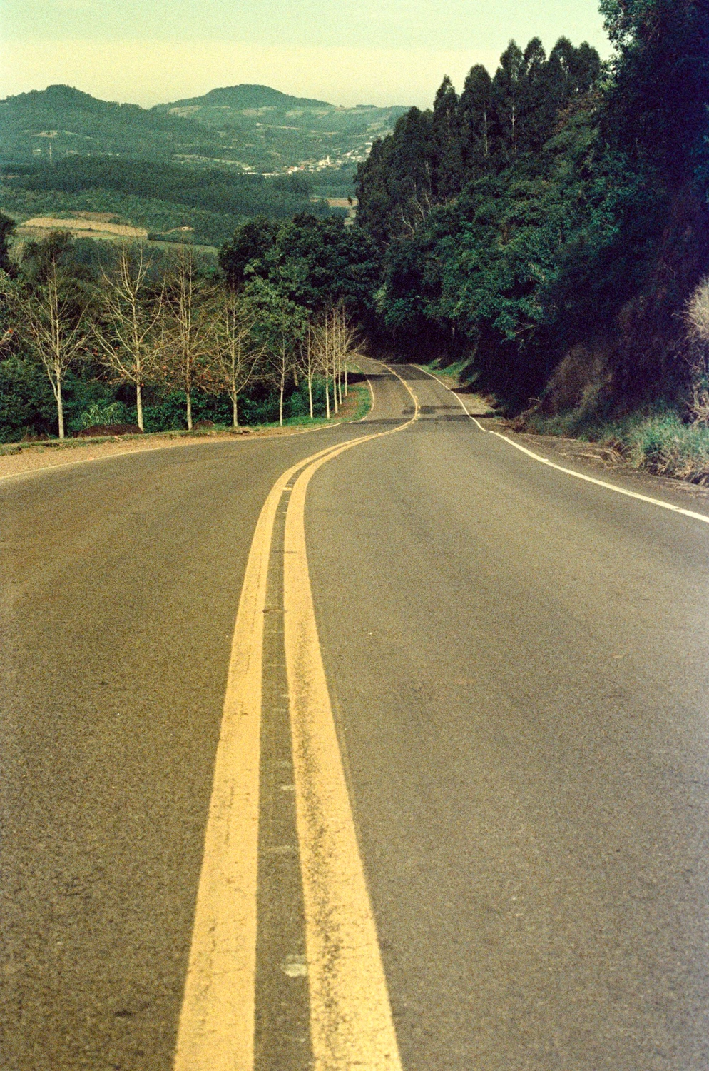 Film photo shot on Kodak Ektachrome 64 Daylight, by Juno Bengochea