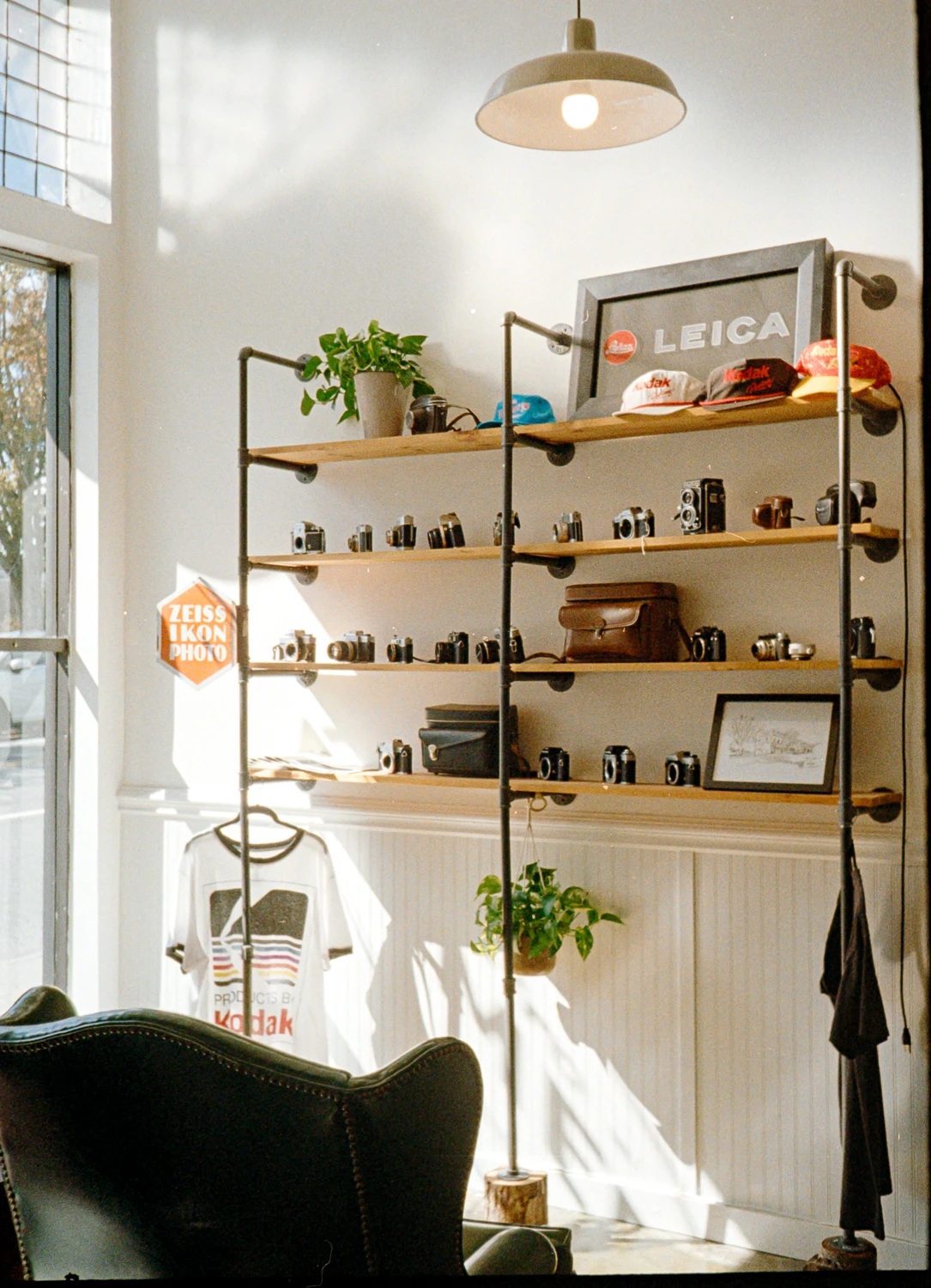 film on film shot on Kodak Gold 200 with a Fujica Half, by mollylovesphotography