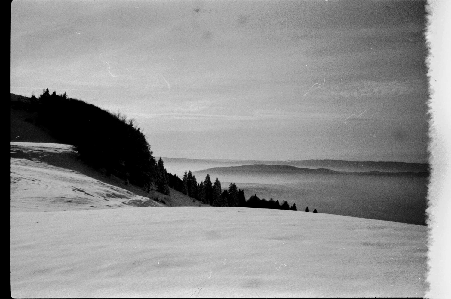 Film photo shot on Ilford HP5 Plus 400 with a Leica Minilux, by Thur