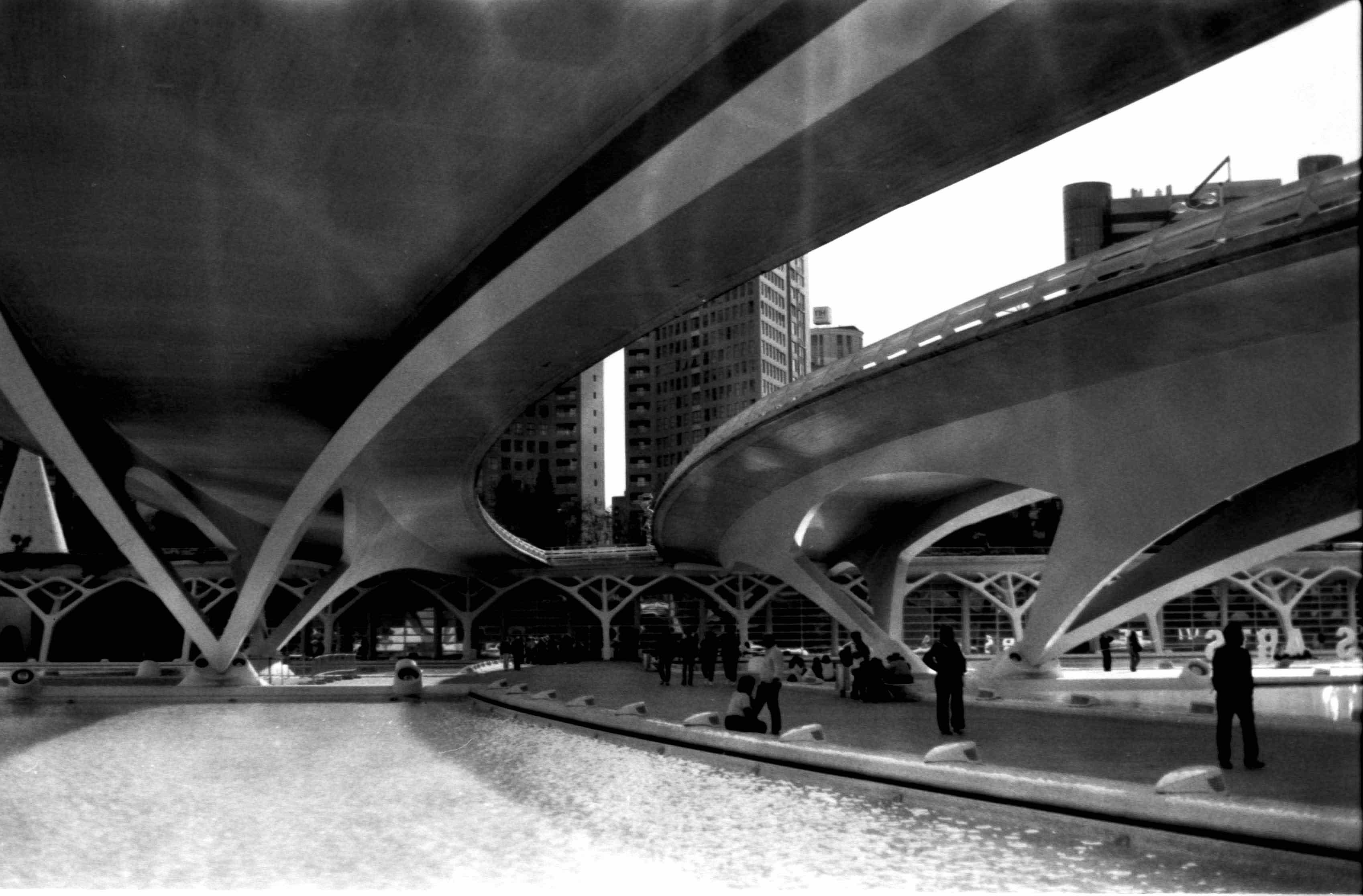 curves shot on Ilford FP4 Plus 125 with a Pentax MV1, developed at Home / Self-Developed, by Paulina